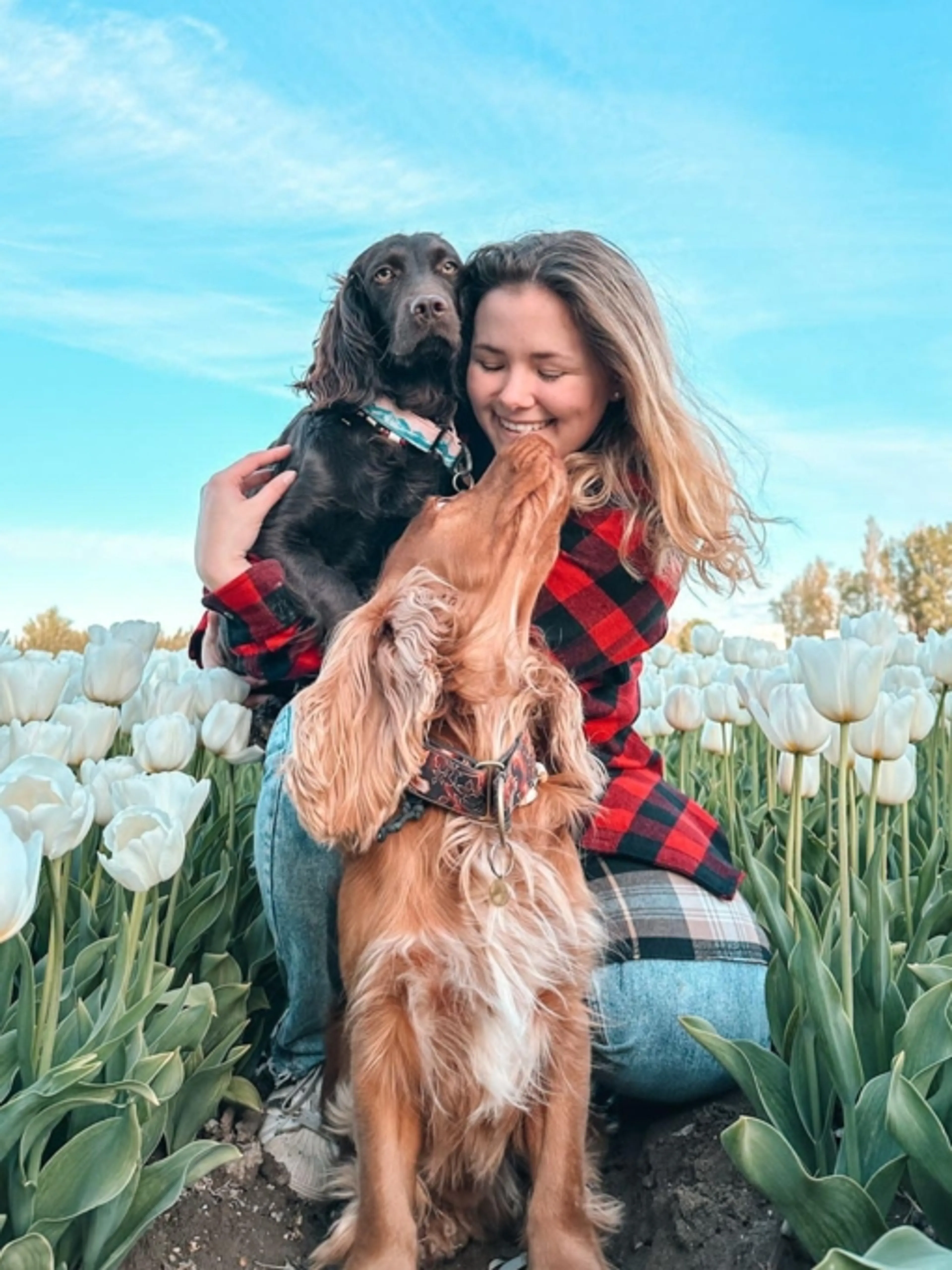 Image de présentation pour l'offre Rendre son chien heureux 🐶 par Laura