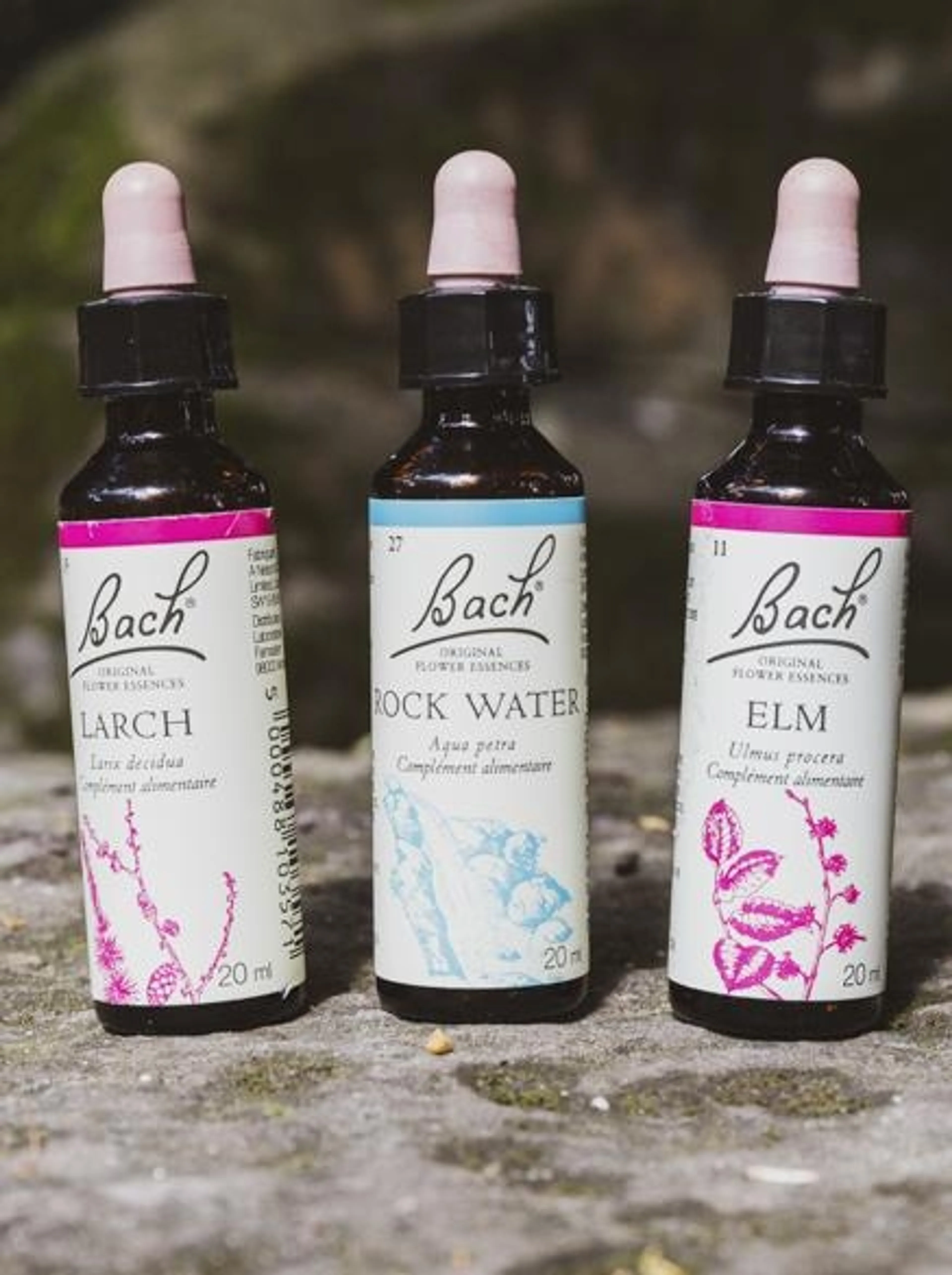 Image de présentation pour l'offre Consultation Emotions & Fleurs de Bach par Tracy Donné | OhaNature