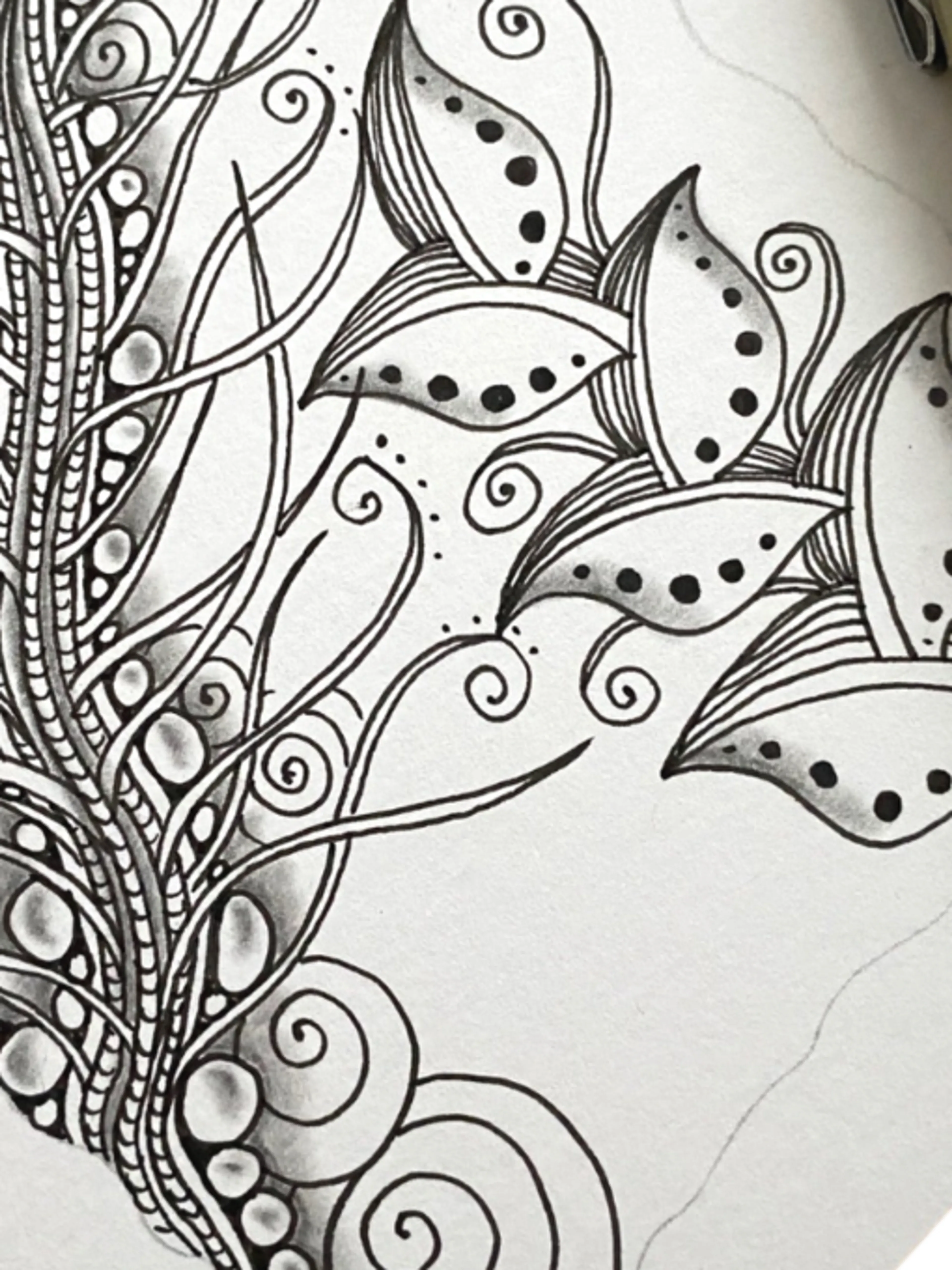 Image de présentation pour l'offre Dessin méditatif - Relâche la pression et retrouve confiance avec la méthode Zentangle® par Jijihook