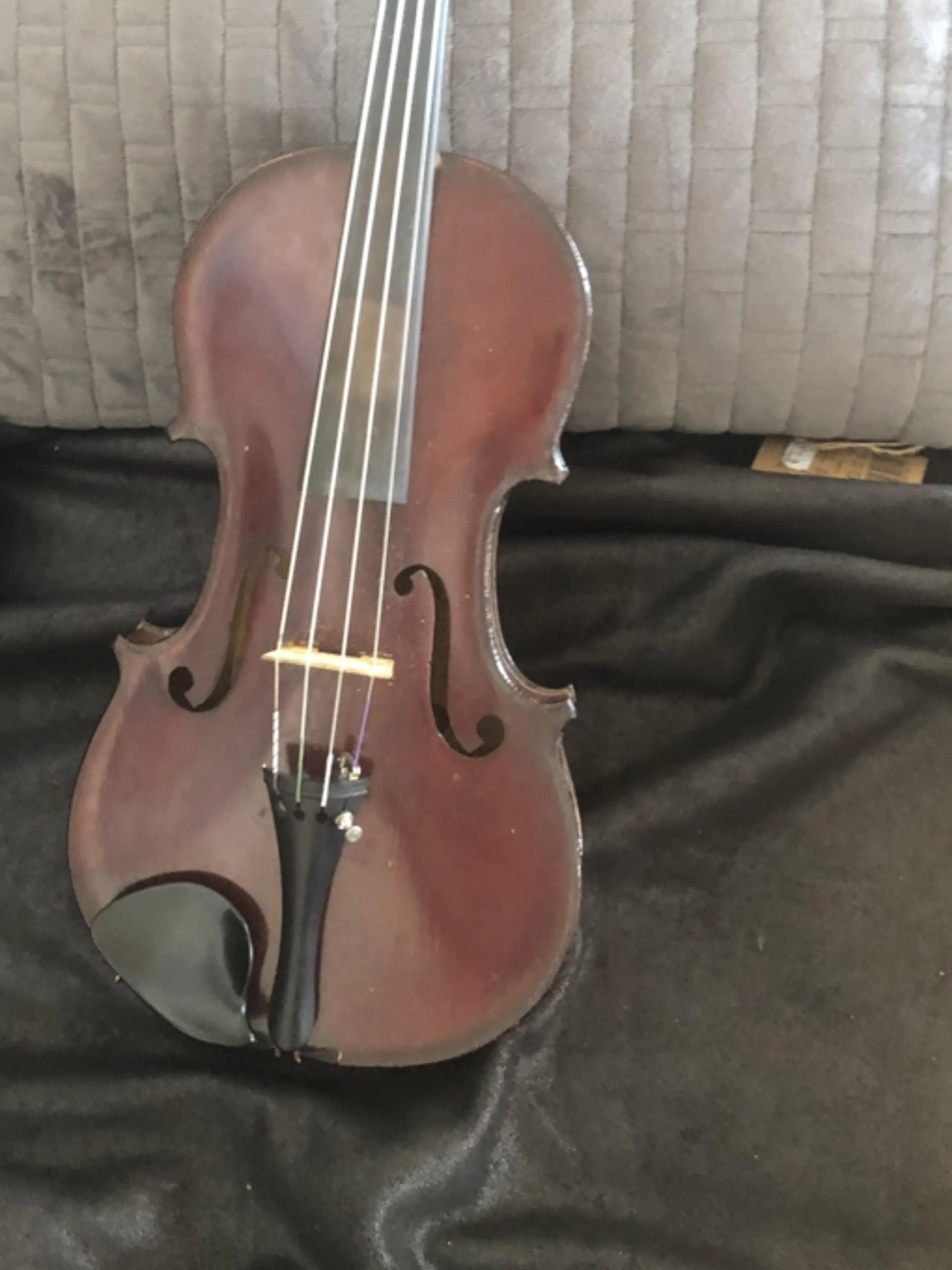 Image de présentation pour l'offre Harmonisez votre talent : Cours de violon enrichissants, du débutant à l'avancé, avec un expert passionné ! par Paul