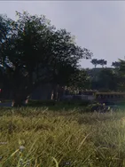 Corentin vous présente ses services sur la plateforme Wooskill.