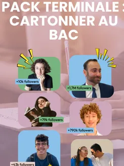 Image de présentation pour l'offre Pack Terminale : Dernière ligne droite avant le Bac par WOOACADEMY