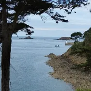 Stef50 vous présente ses services sur la plateforme Wooskill.