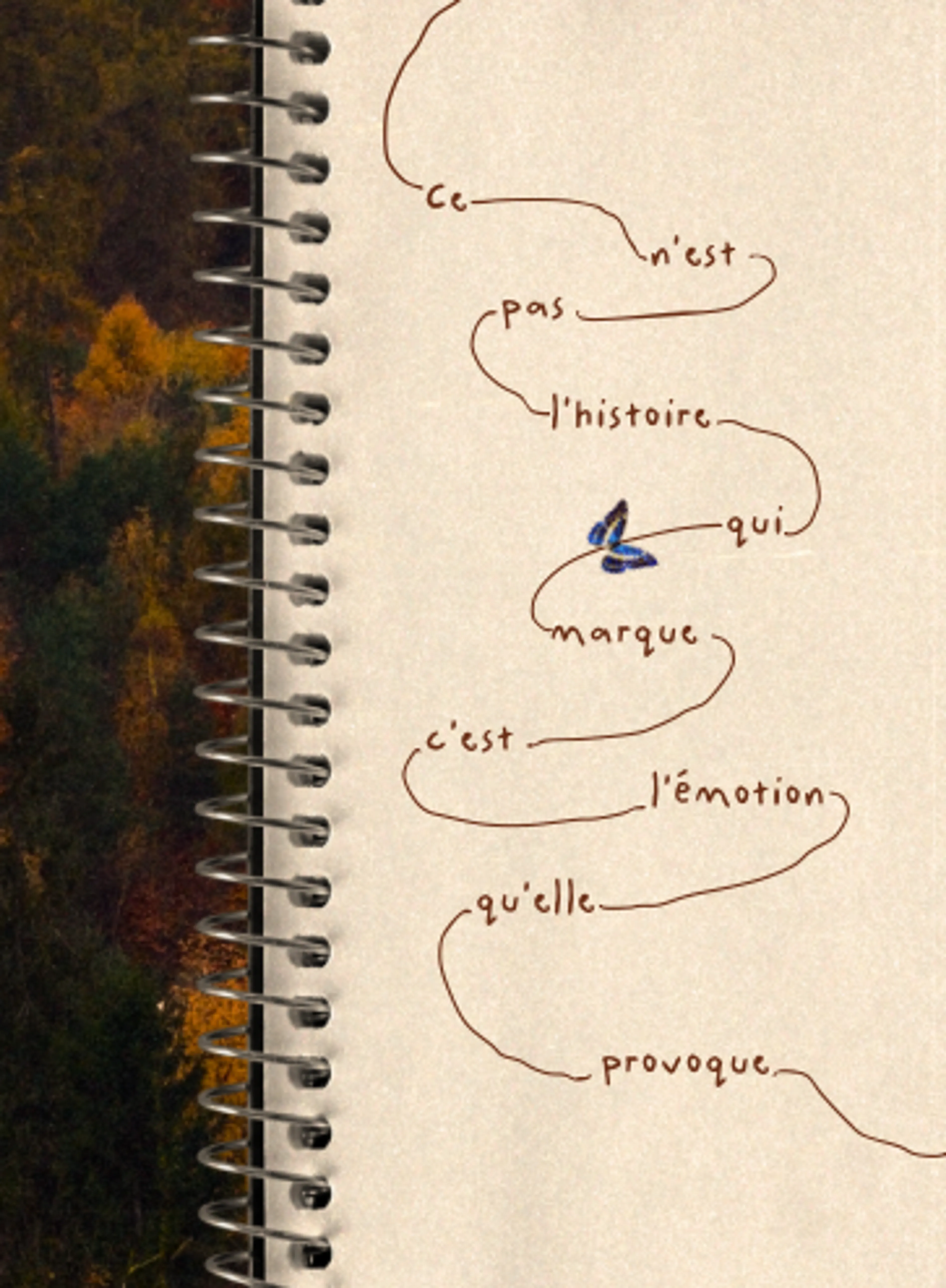 Image de présentation pour l'offre Le storytelling sur Instagram : une méthode simple pour structurer vos idées et créer du contenu qui touche. par callmevoyou