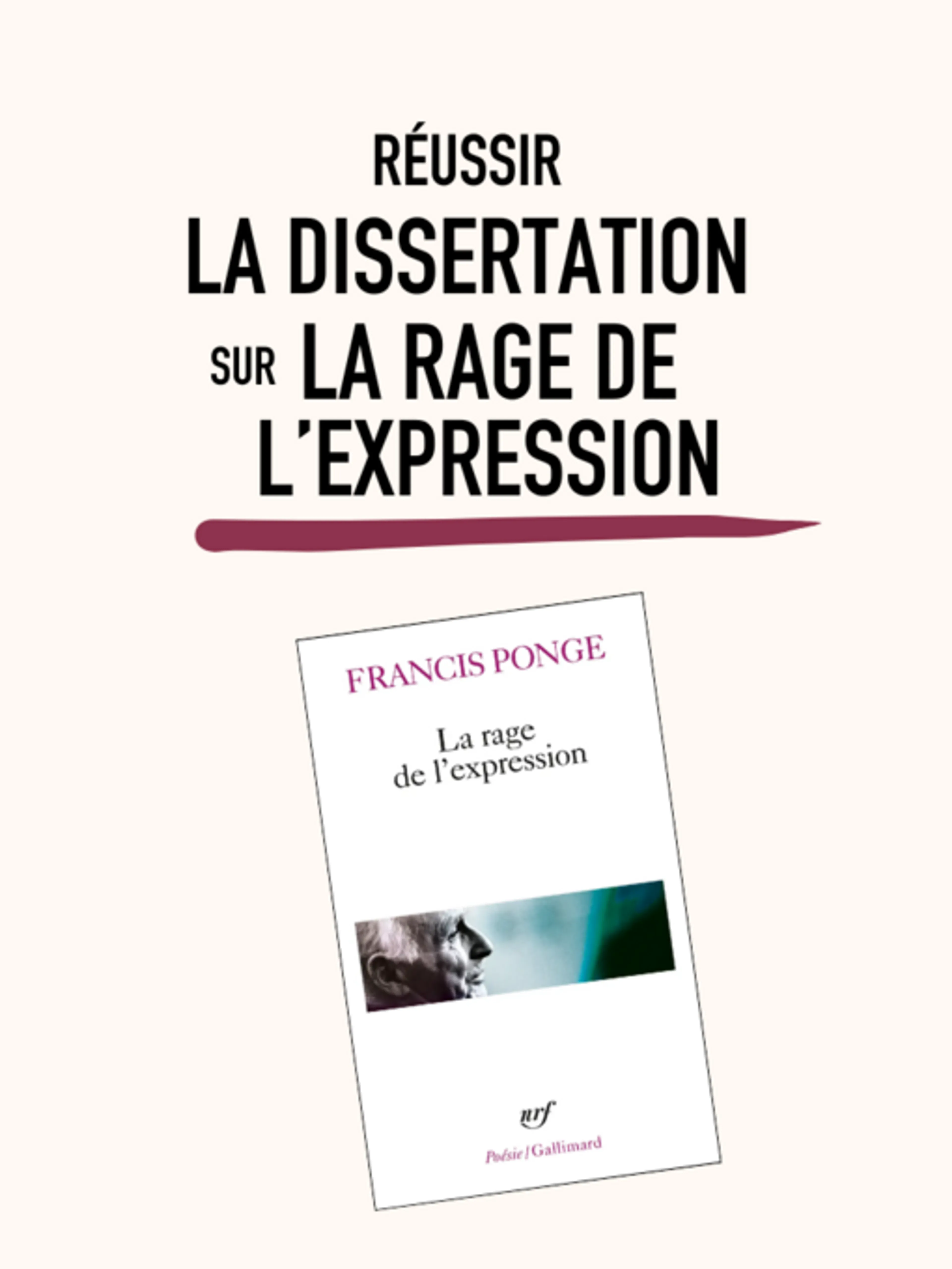 Image de présentation pour l'offre Réussir la dissertation sur La Rage de l'expression par Selene