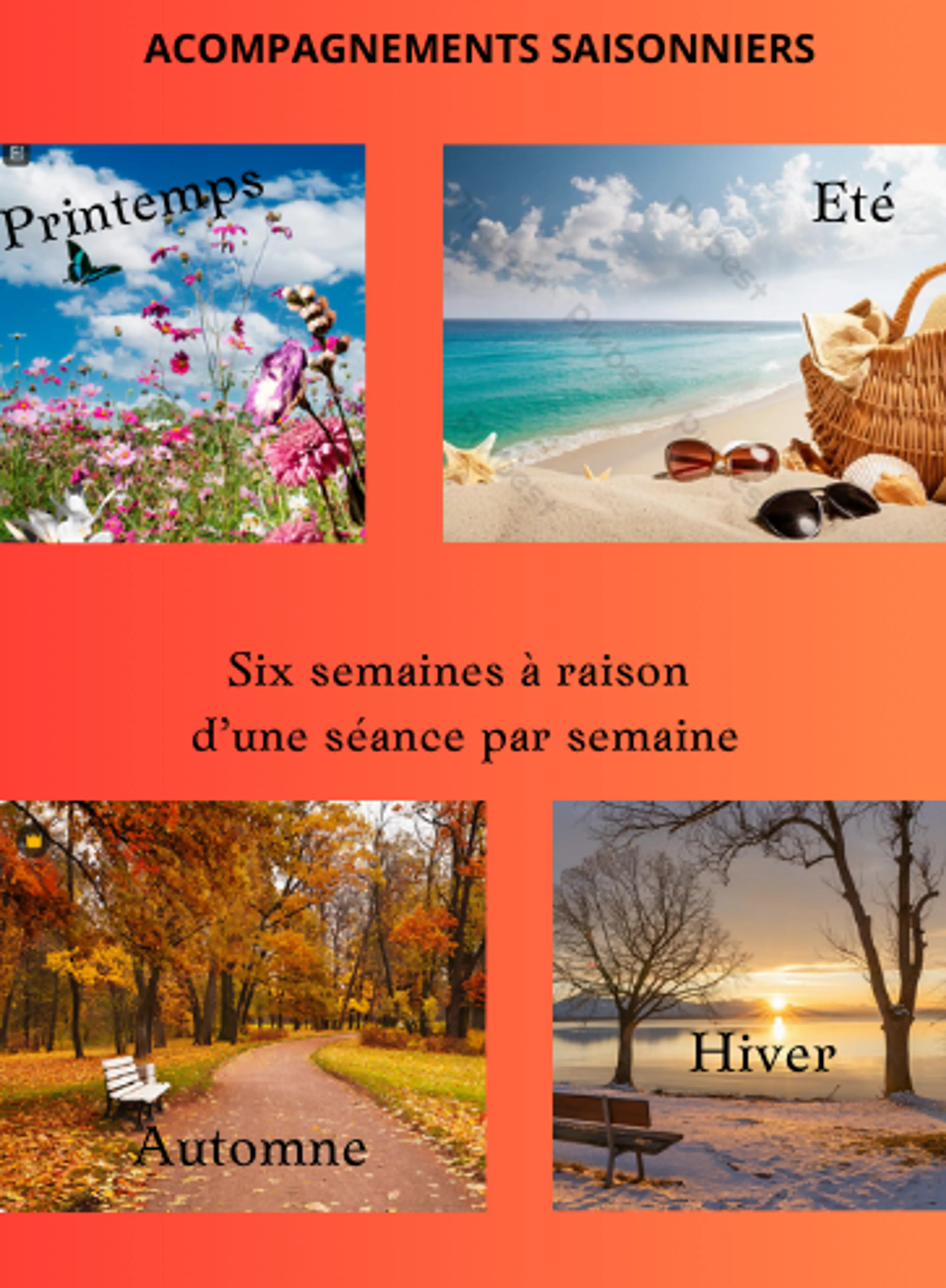 Traversez les saisons avec sagesse et équilibre !
 Accompagnement sur 6 semaines ( 1 séance de 1h par semaine ) pour chaque saison