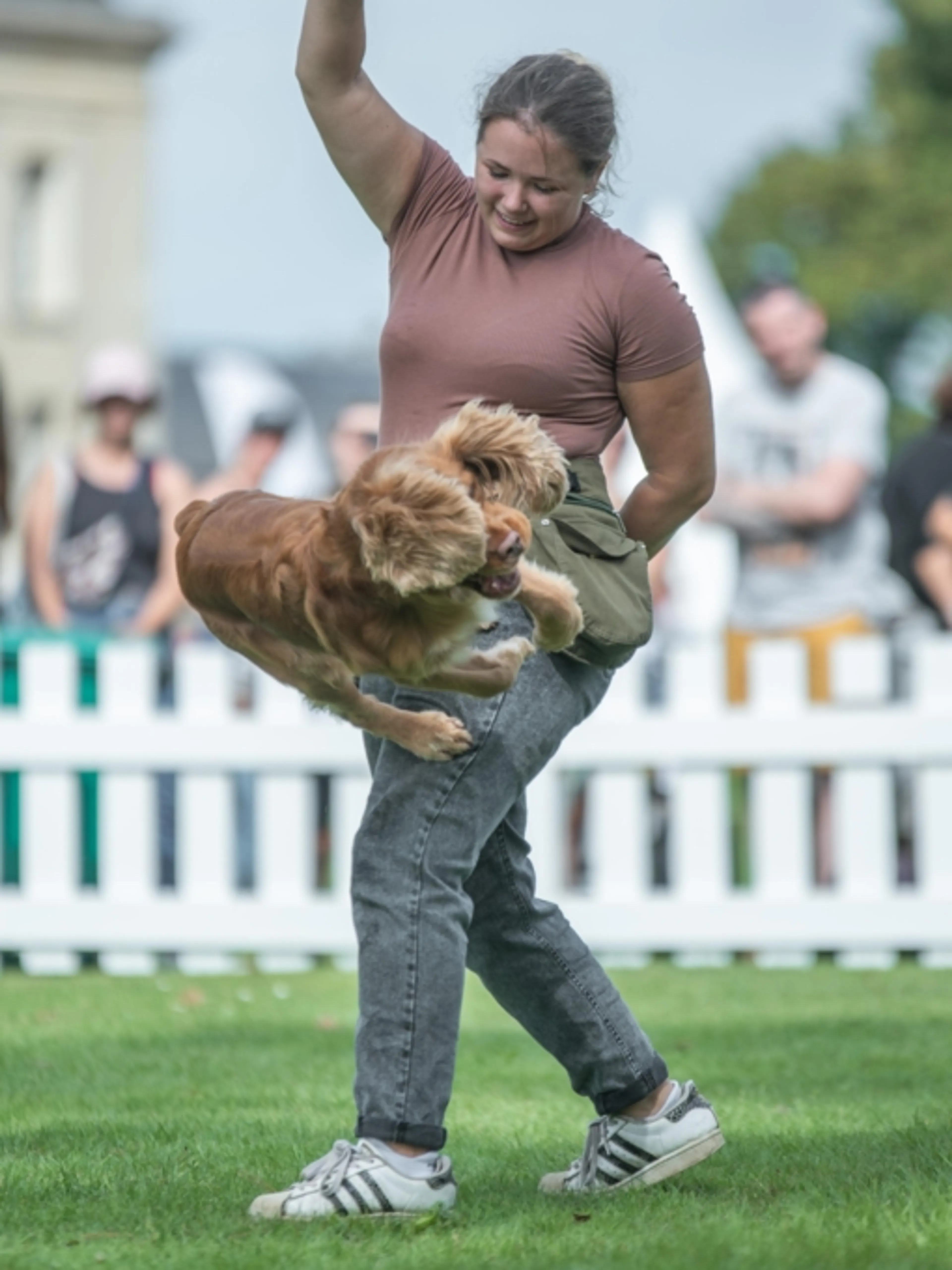Image de présentation pour l'offre ✨Apprenez à votre chien des tours super cools 🐕 par Laura