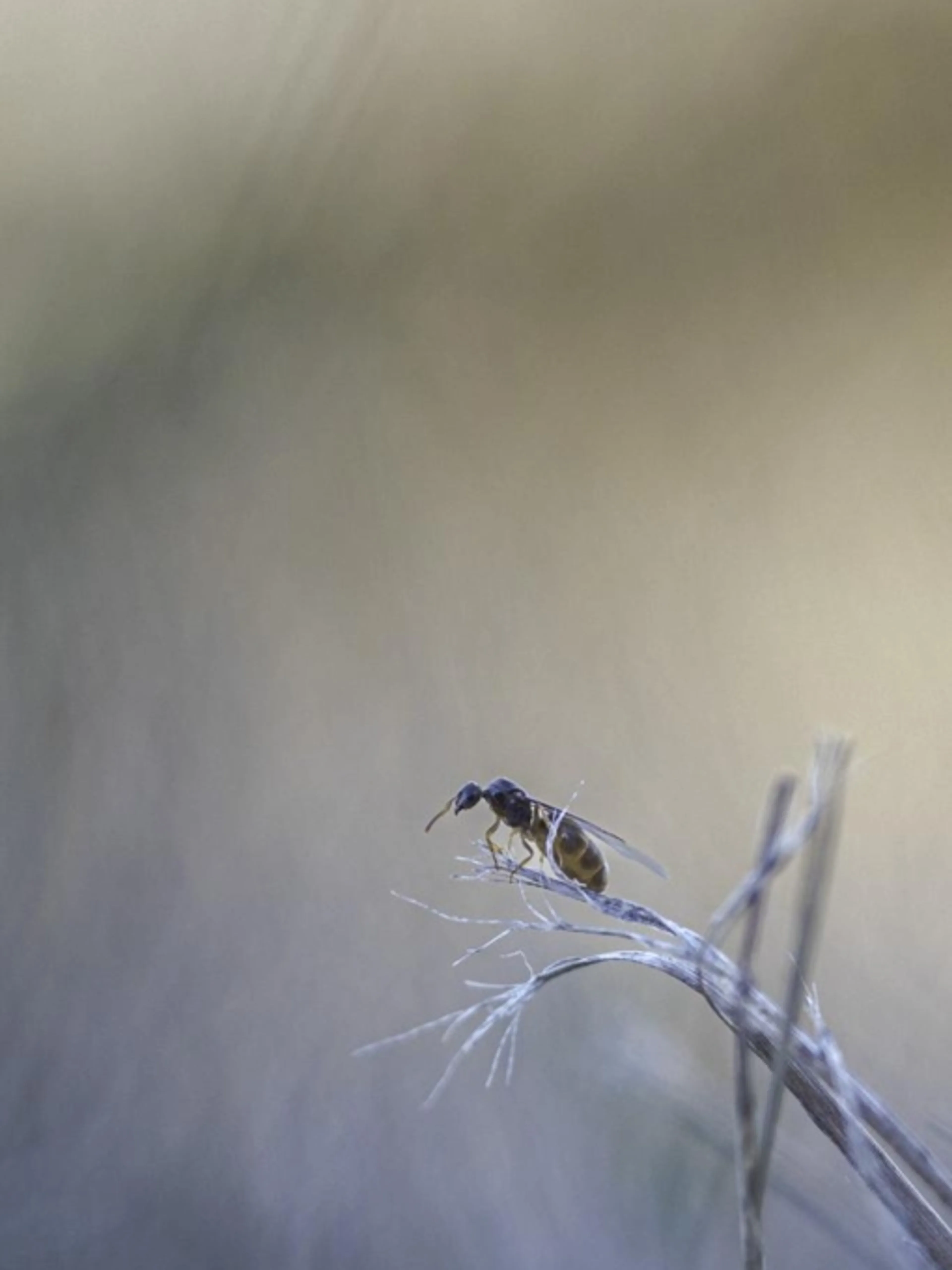 Image de présentation pour l'offre Cours collectif sur la photographie naturaliste
Cours collectif afin de mieux appréhender et comprendre les notions photographiques dans le domaine par JEROME