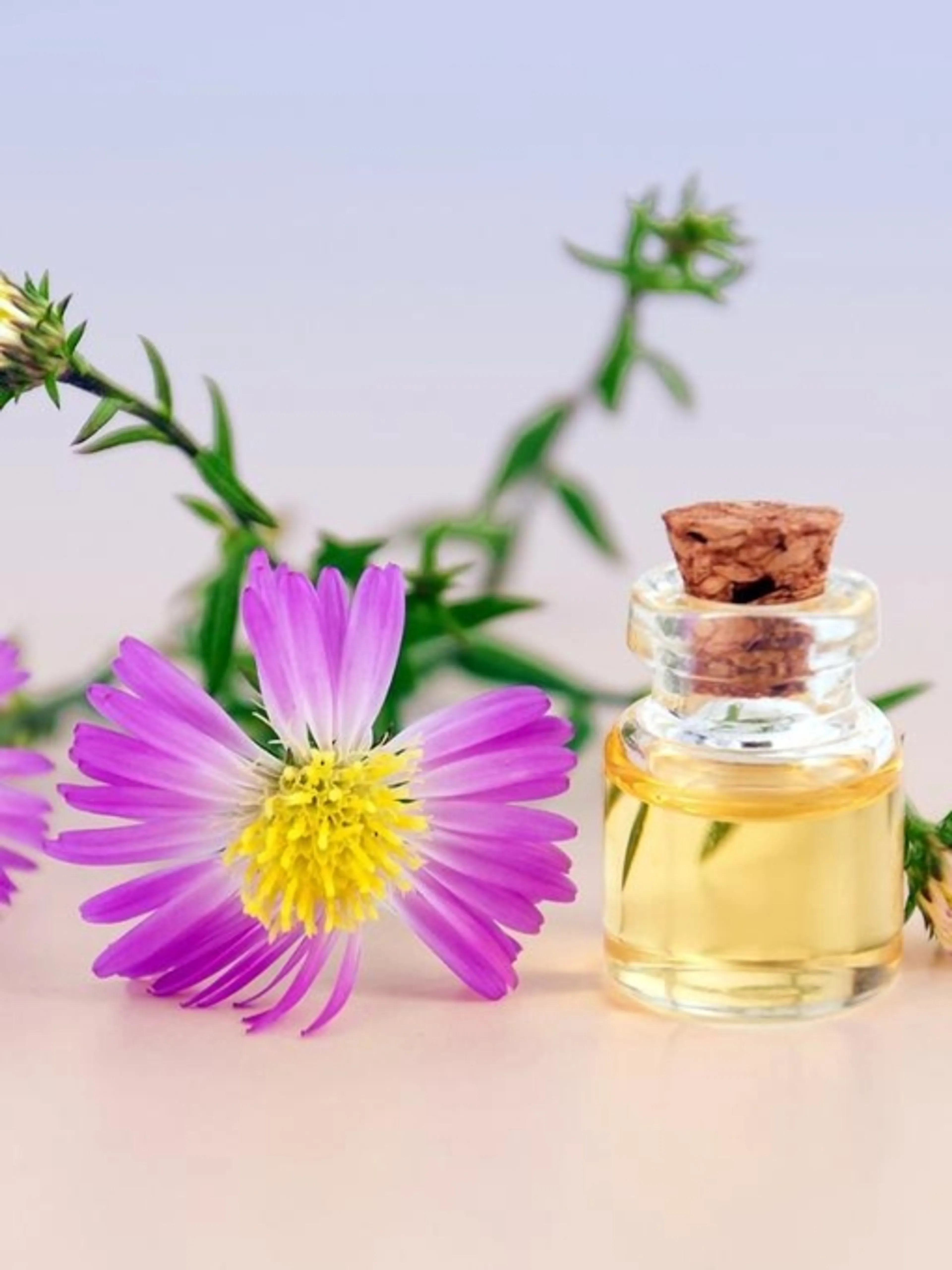 Image de présentation pour l'offre Gérer votre stress avec les huiles essentielles par Aroma positive