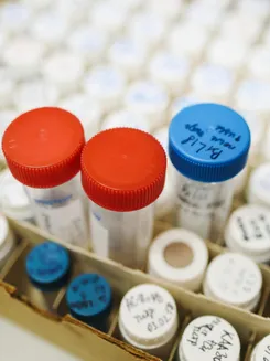 Image de présentation pour l'offre Pack 10h soutien scolaire en Biologie par Lucile