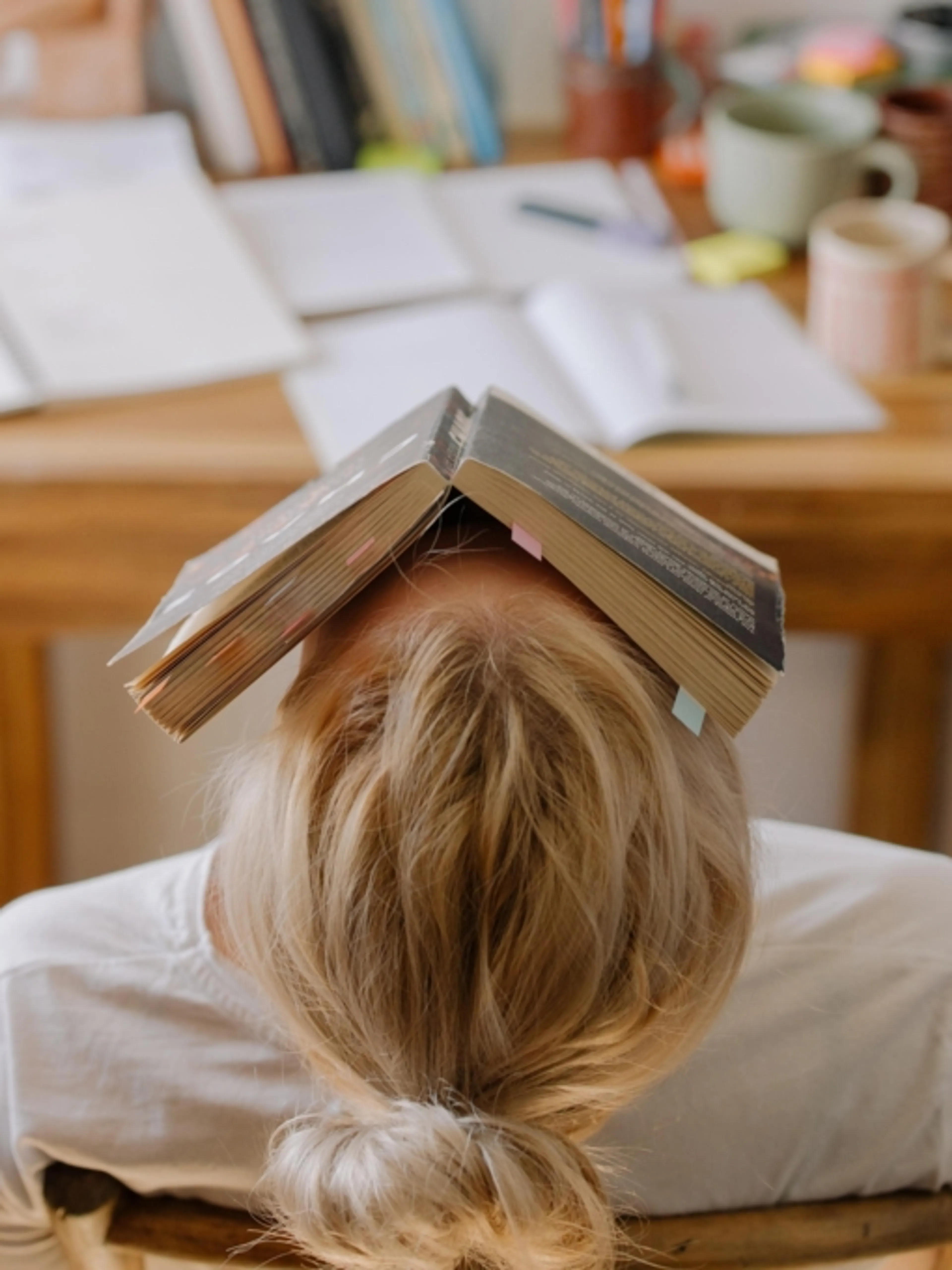 Image de présentation pour l'offre Apprendre à gérer ses émotions et son stress grâce à des techniques simples et efficaces avec un coaching sur mesure par une Coach certifiée par Aurélie