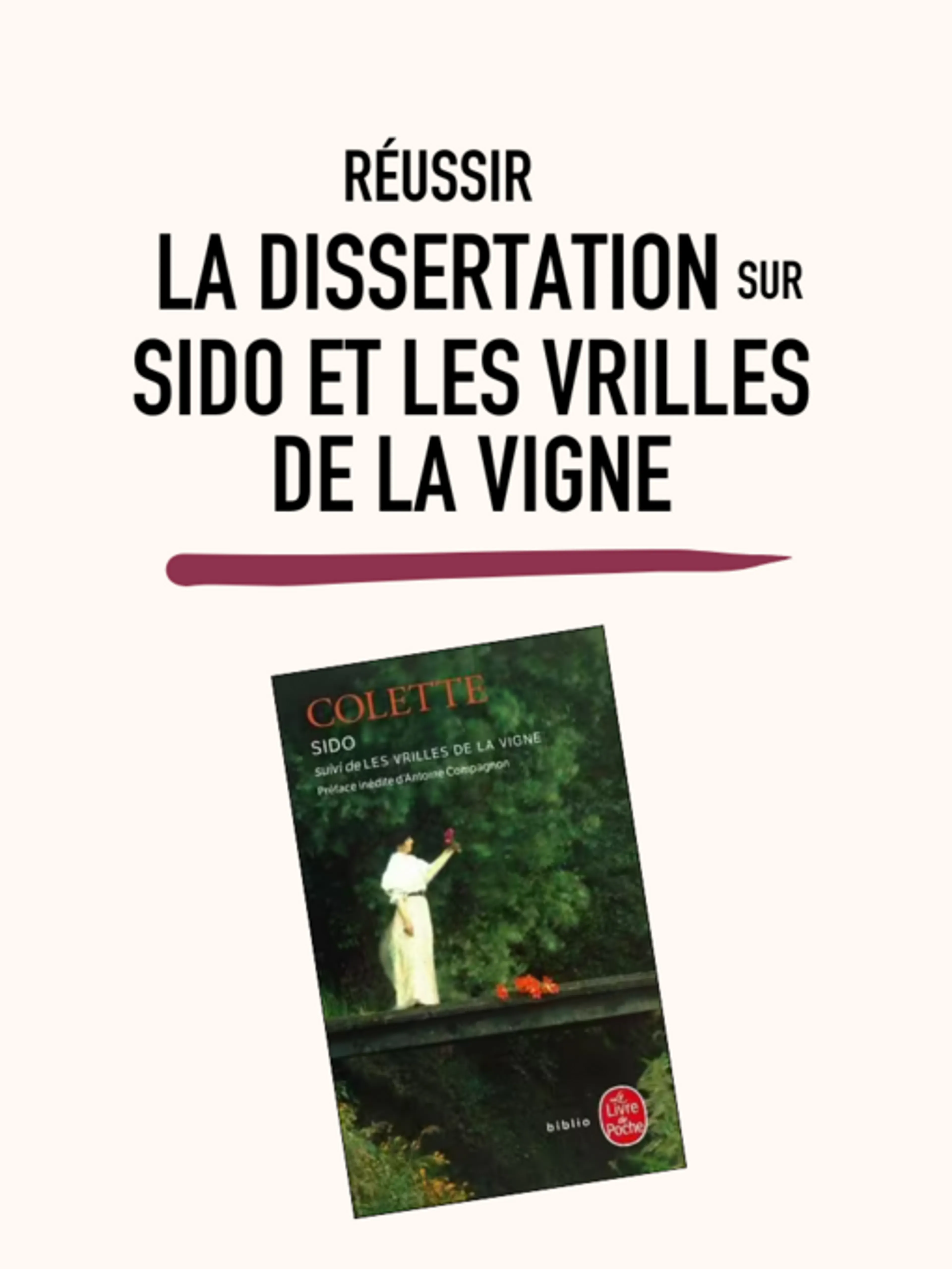 Réussir la dissertation sur Sido et Les Vrilles de la vigne