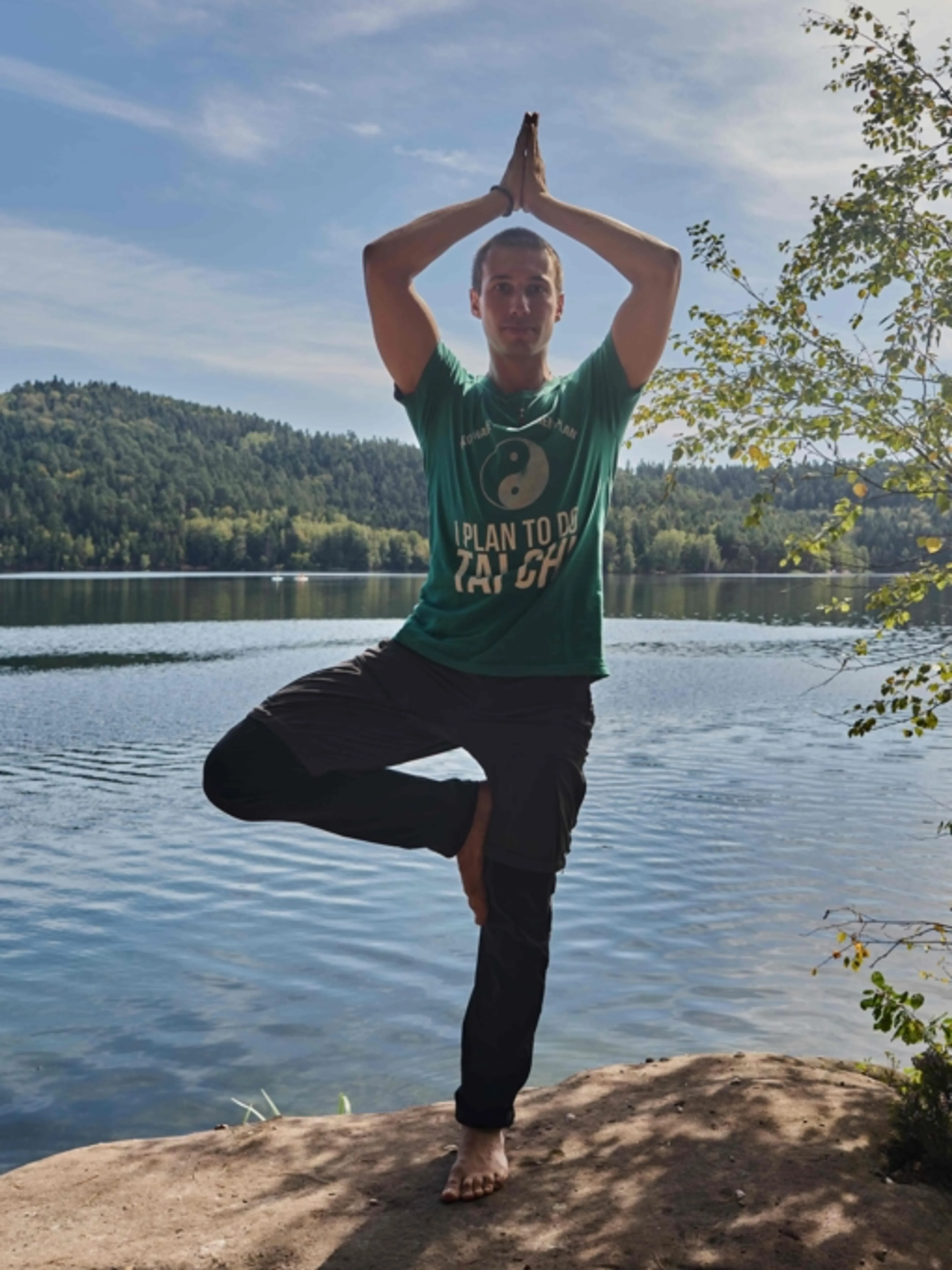 Image de présentation pour l'offre Séance de Hatha Yoga Traditionnelle - Postures tenues, renforcement et éveil par la concentration et le maintien postural. par Quentin