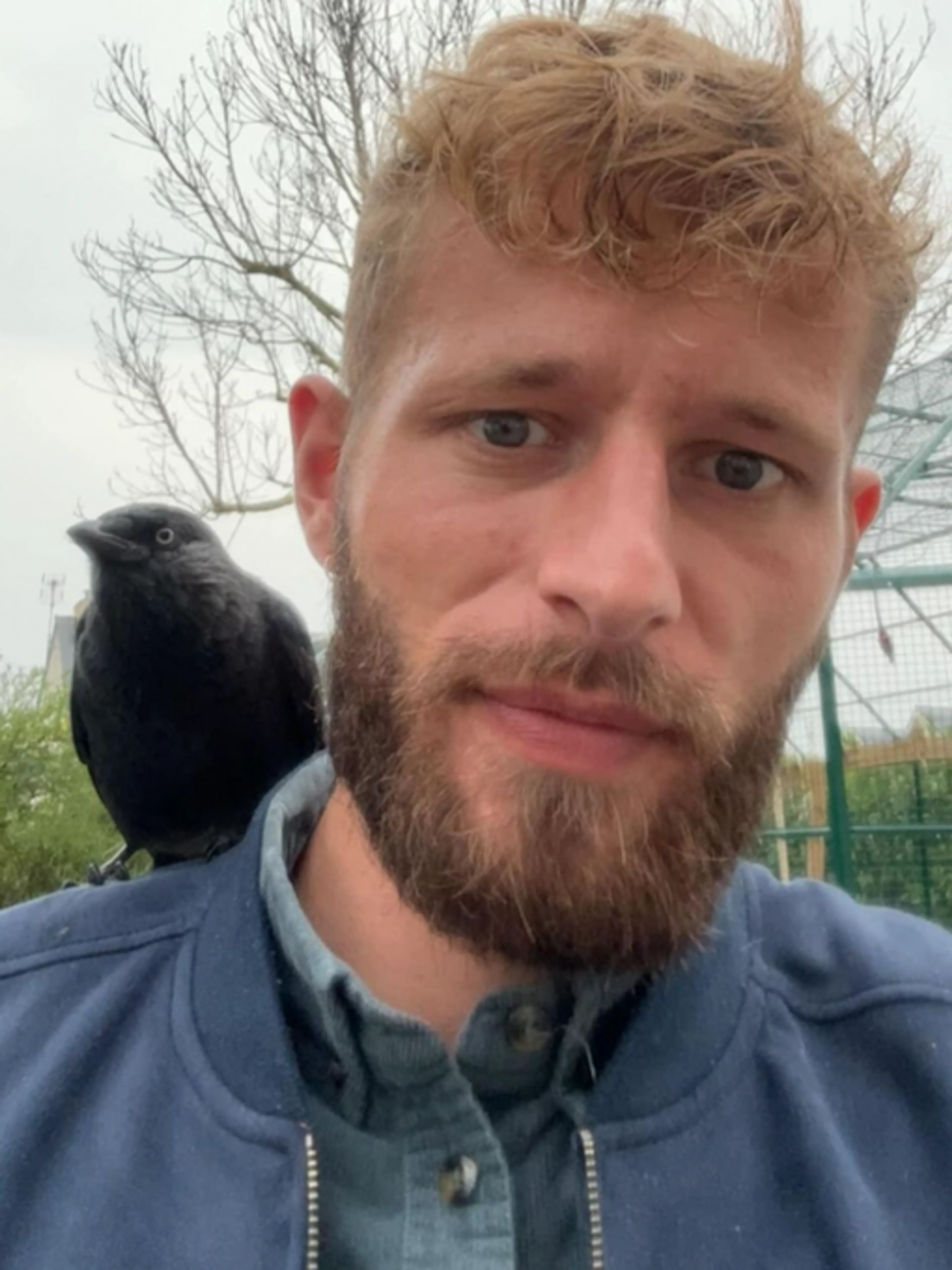 Image de présentation pour l'offre Se préparer avant l'adoption d'un Perroquet 🦜 par François