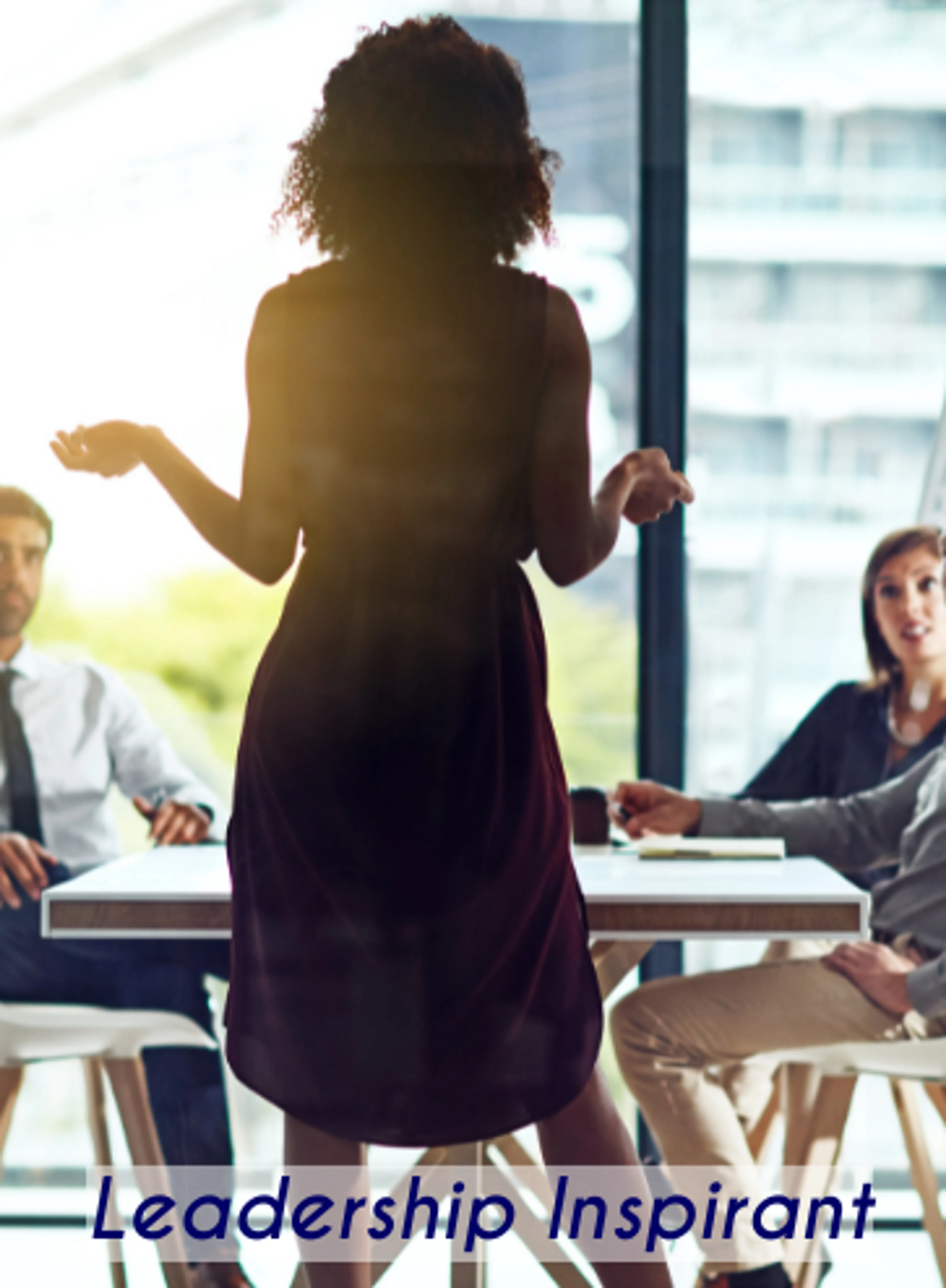 Image de présentation pour l'offre "Leadership Inspirant : Fédérer par le Sens et la Vision par Christel