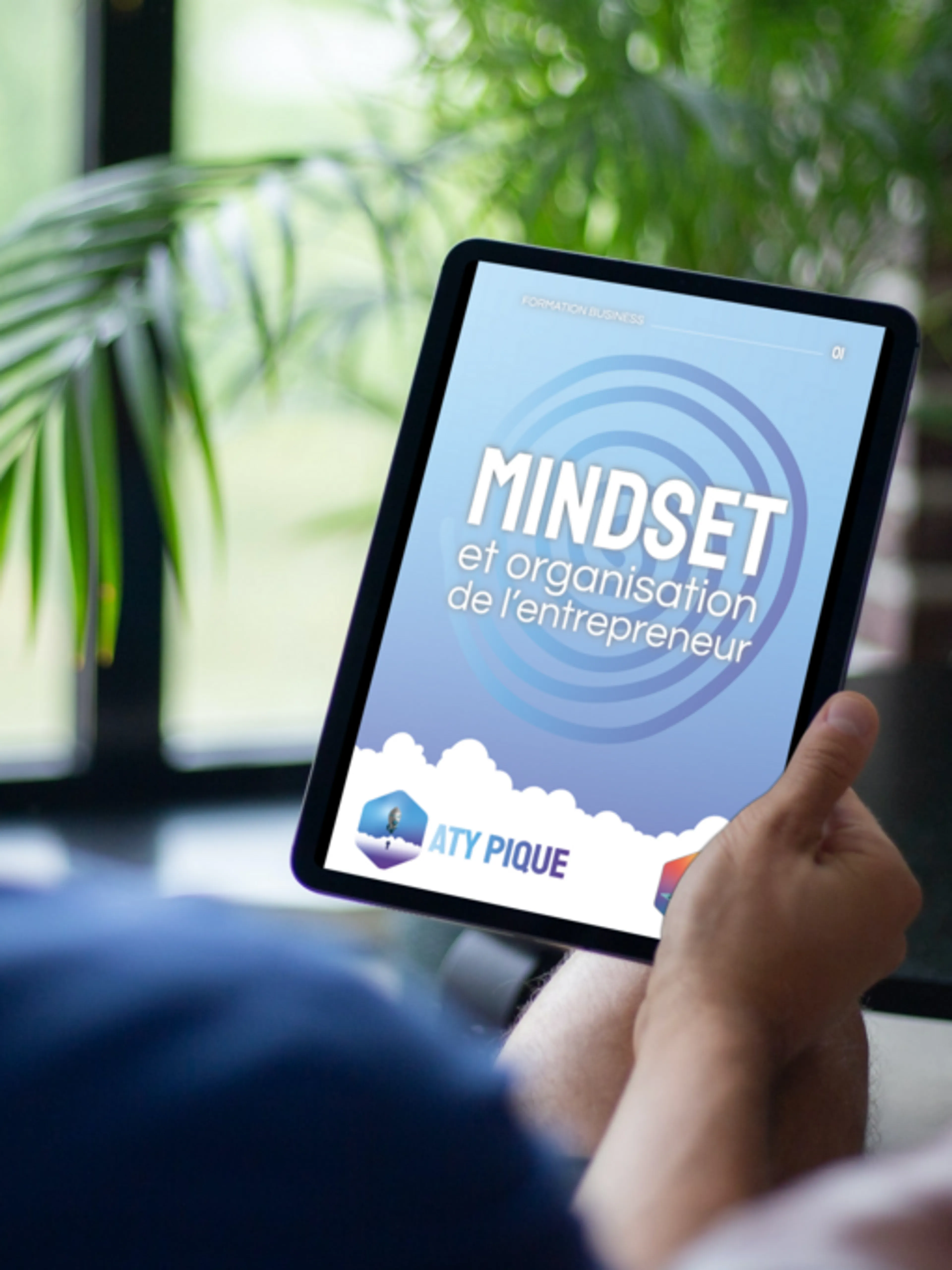 Mindset et organisation de l'entrepreneur