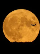 Urus vous présente ses services sur la plateforme Wooskill.