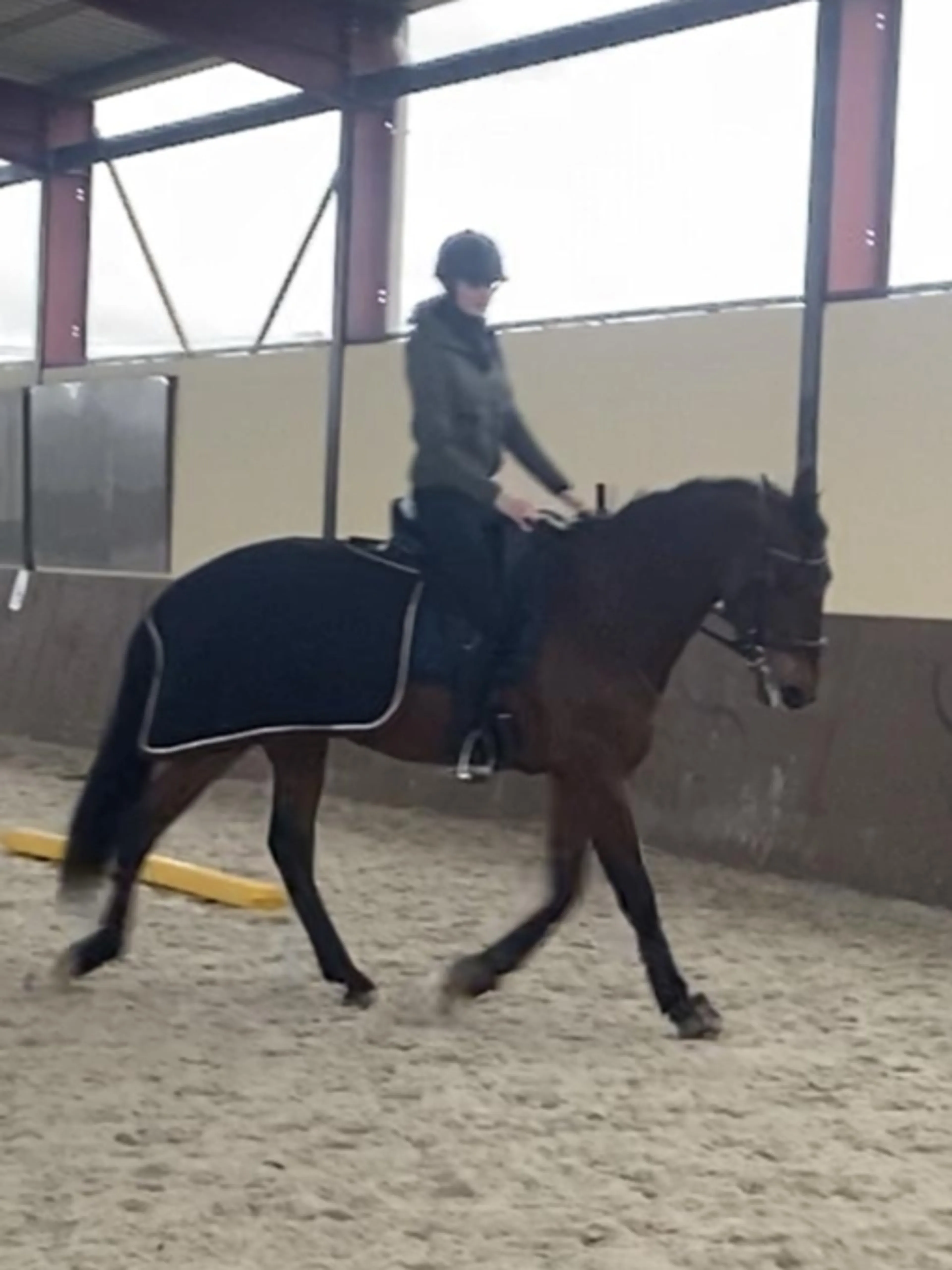 Image de présentation pour l'offre Maîtrisez l'art de prendre soin de votre cheval de sport: Guide expert en 30 minutes ! par Suzon