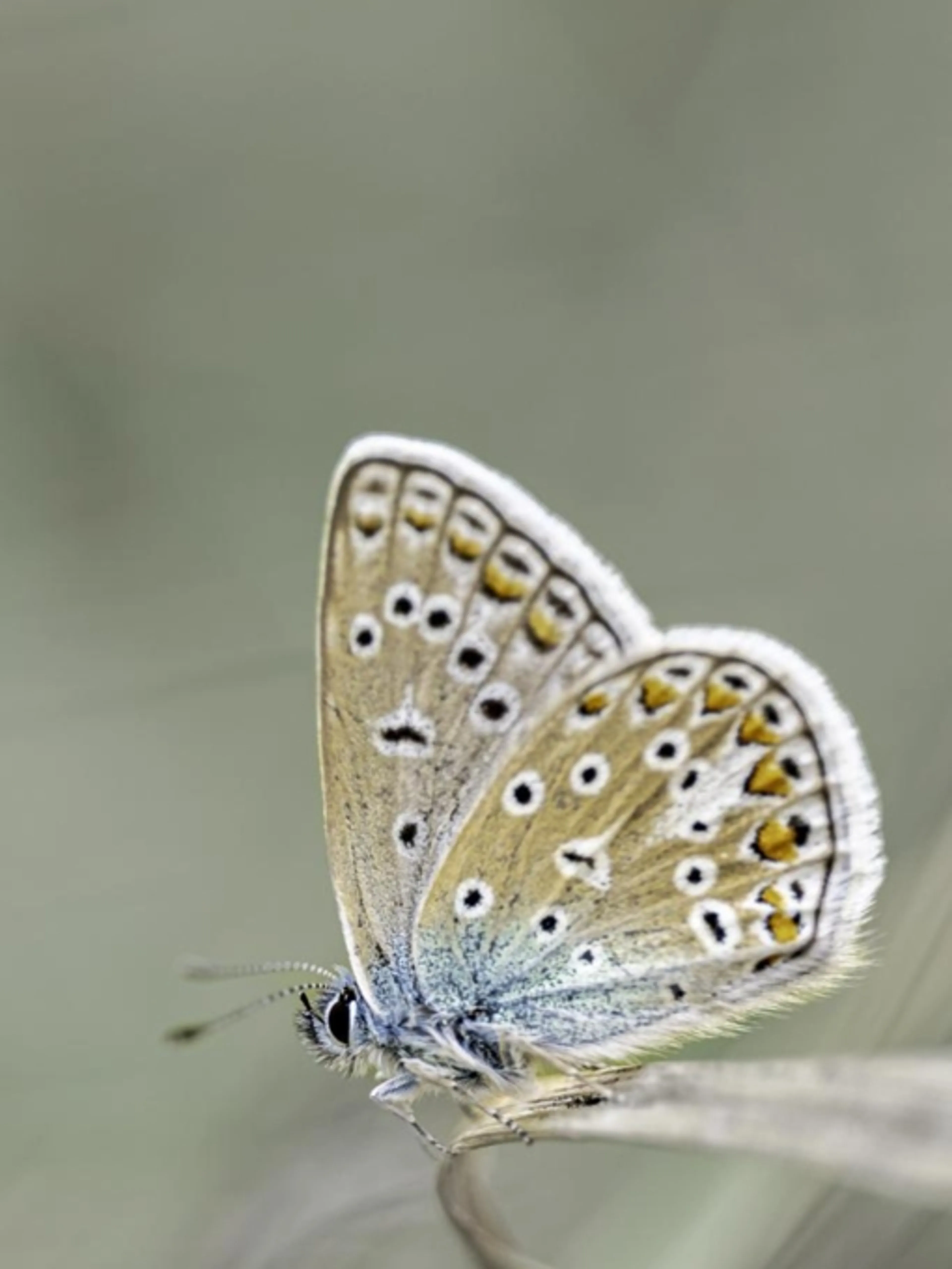 Image de présentation pour l'offre Cours collectif sur la photographie naturaliste
Cours collectif afin de mieux appréhender et comprendre les notions photographiques dans le domaine par JEROME