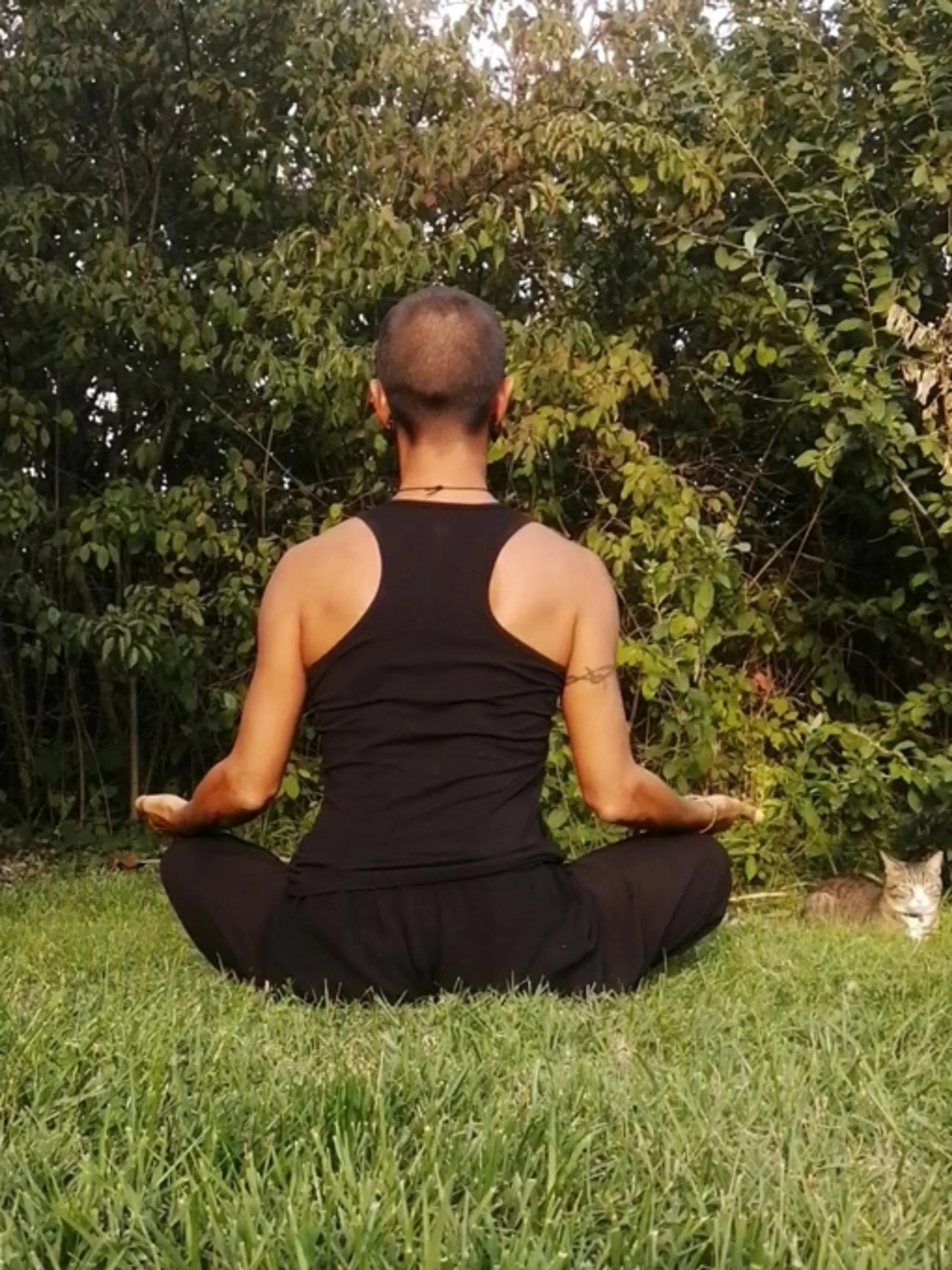 Image de présentation pour l'offre Soins énergétiques :Reiki Usui et Karuna, Pranic healing, ostéopathie énergétique, méditation, exercices de respiration par Séverine