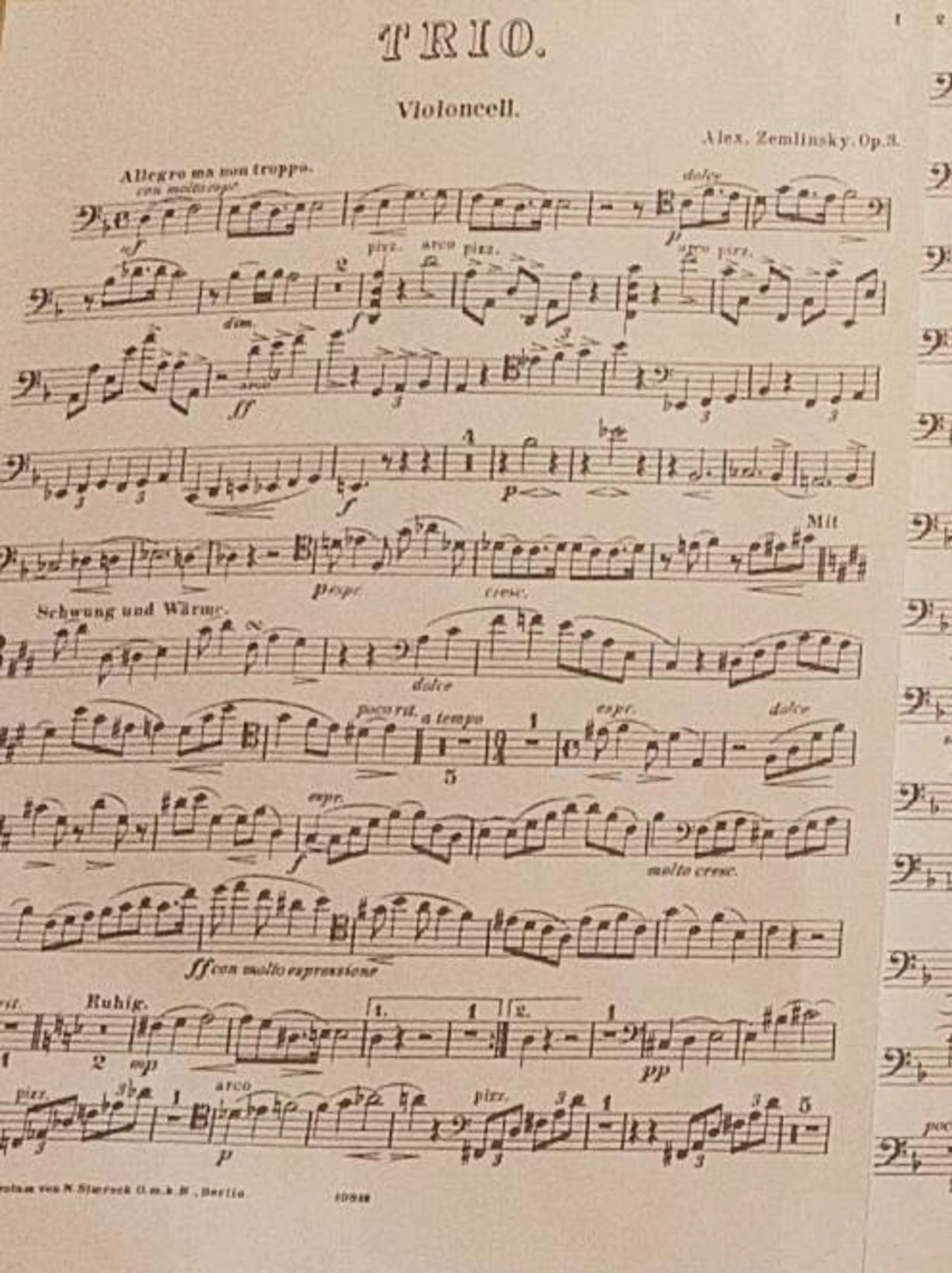 Image de présentation pour l'offre Cours de solfège/formation musicale tous niveaux ! par Cindy