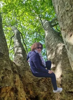 Image de présentation pour l'offre Programme de connaissance de soi avec l'Arbre De Vie par Lisette