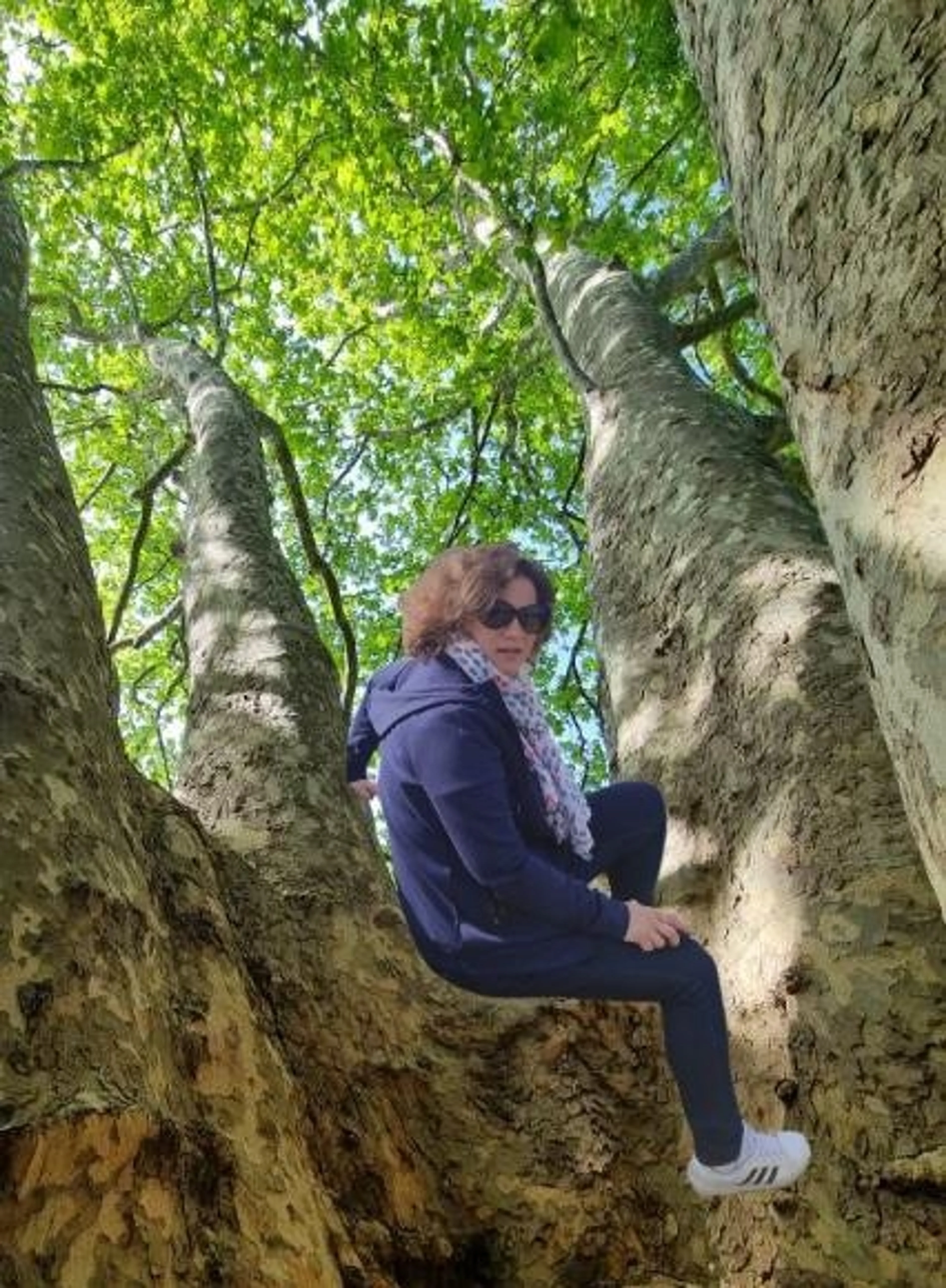 Programme de connaissance de soi avec l'Arbre De Vie