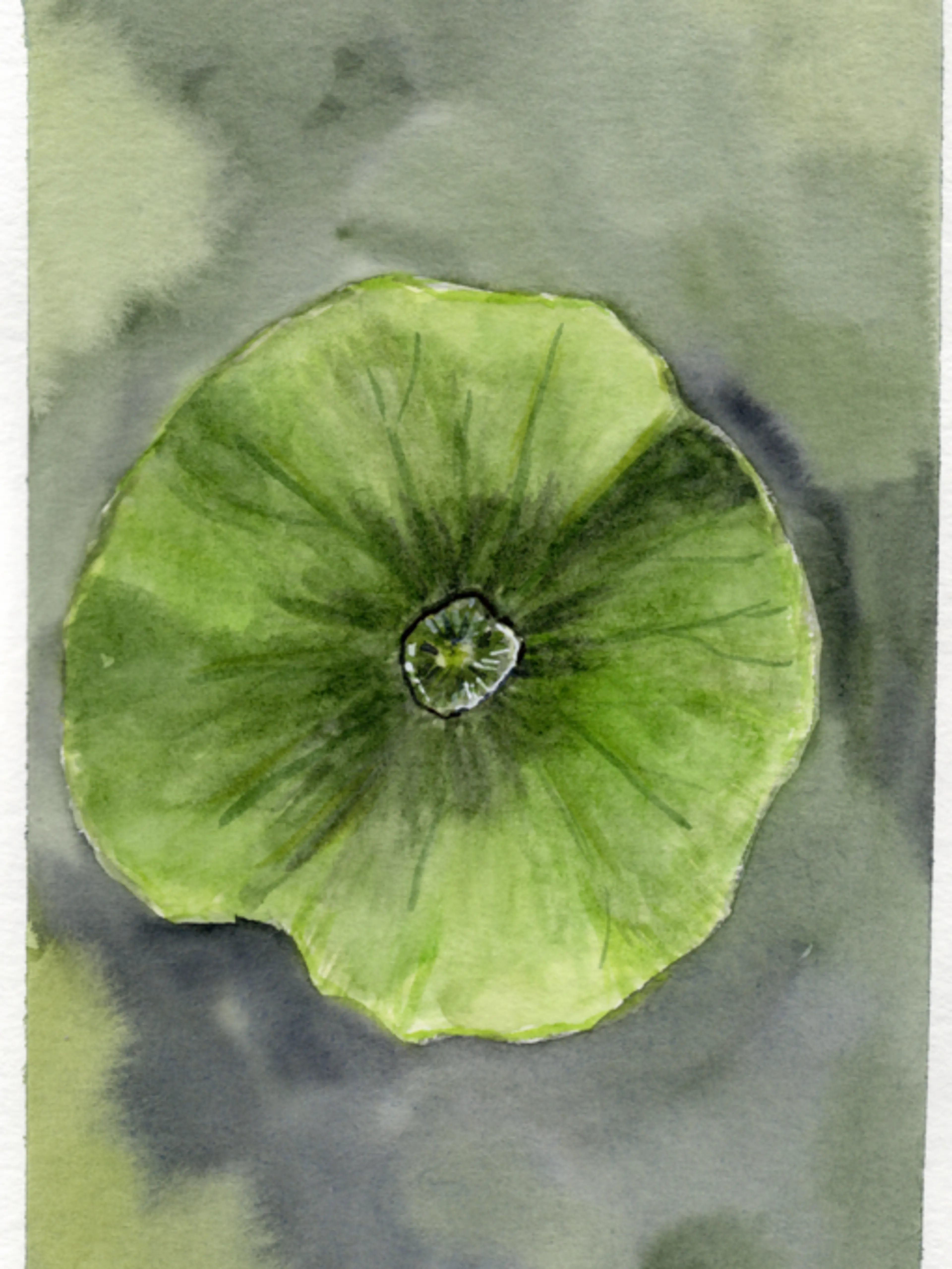 Image de présentation pour l'offre Découvrez l'art de l'aquarelle avec des techniques simples pour des rendus exceptionnels ! 🎨✨ par Johanna / Jodabbles