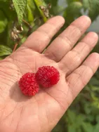 Gilles vous présente ses services sur la plateforme Wooskill.