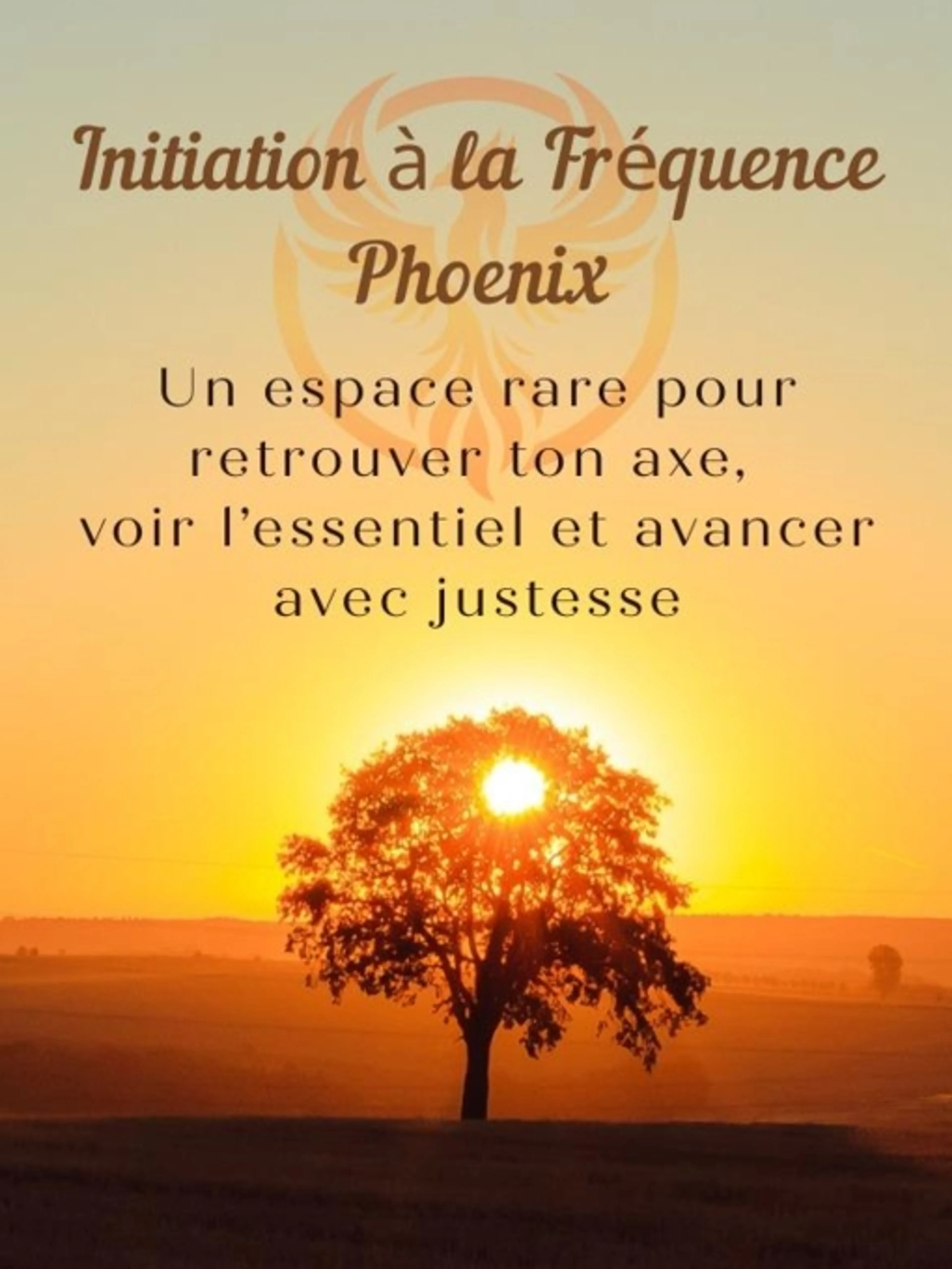 Parcours individué Fréquence PHOENIX