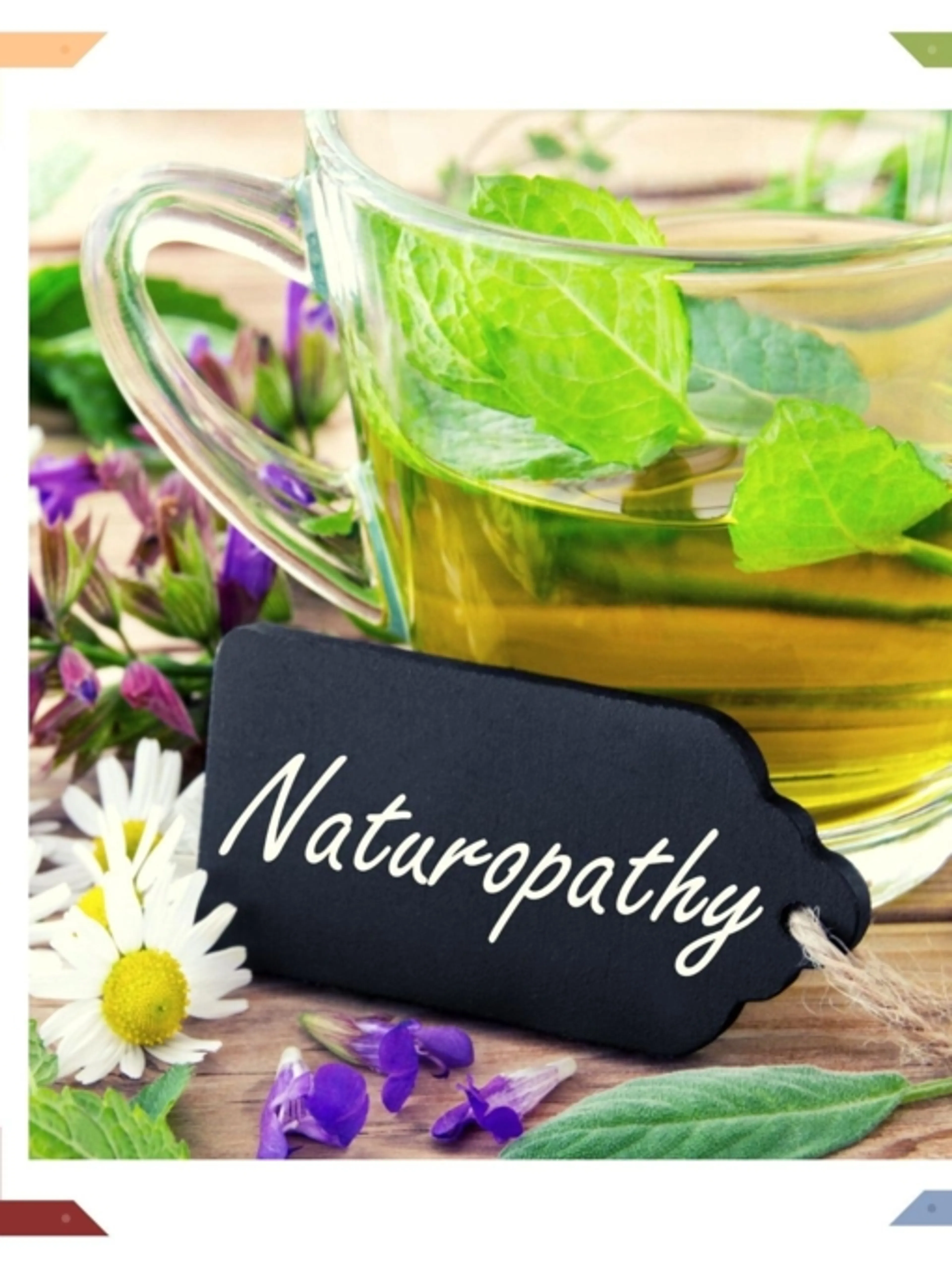 Image de présentation pour l'offre Première Consultation Naturopathie par NATUROBIENFAITS