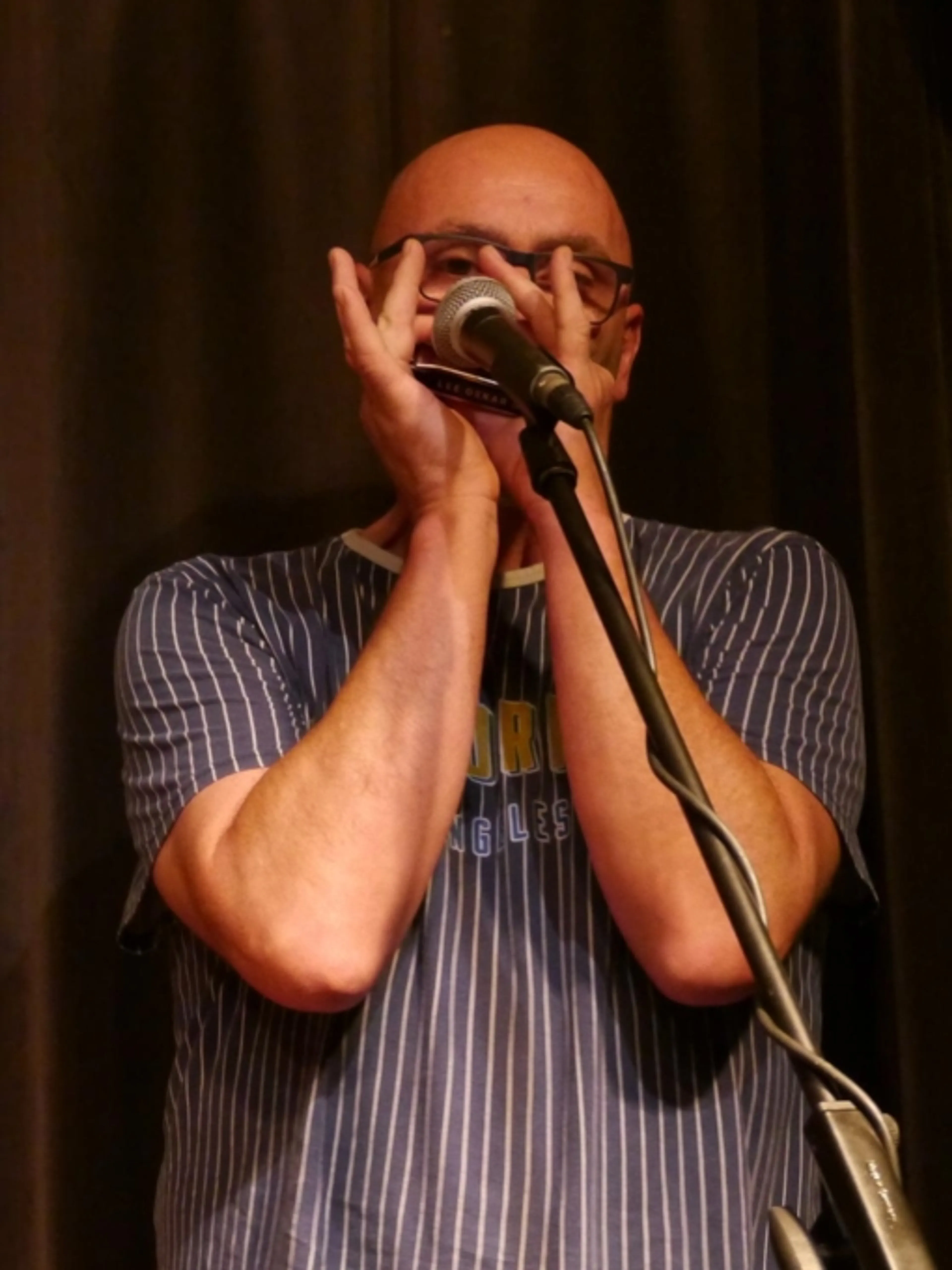 Harmonica diatonique: Explorez le blues, le folk et le reggae avec passion !
