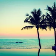 Corentin vous présente ses services sur la plateforme Wooskill.