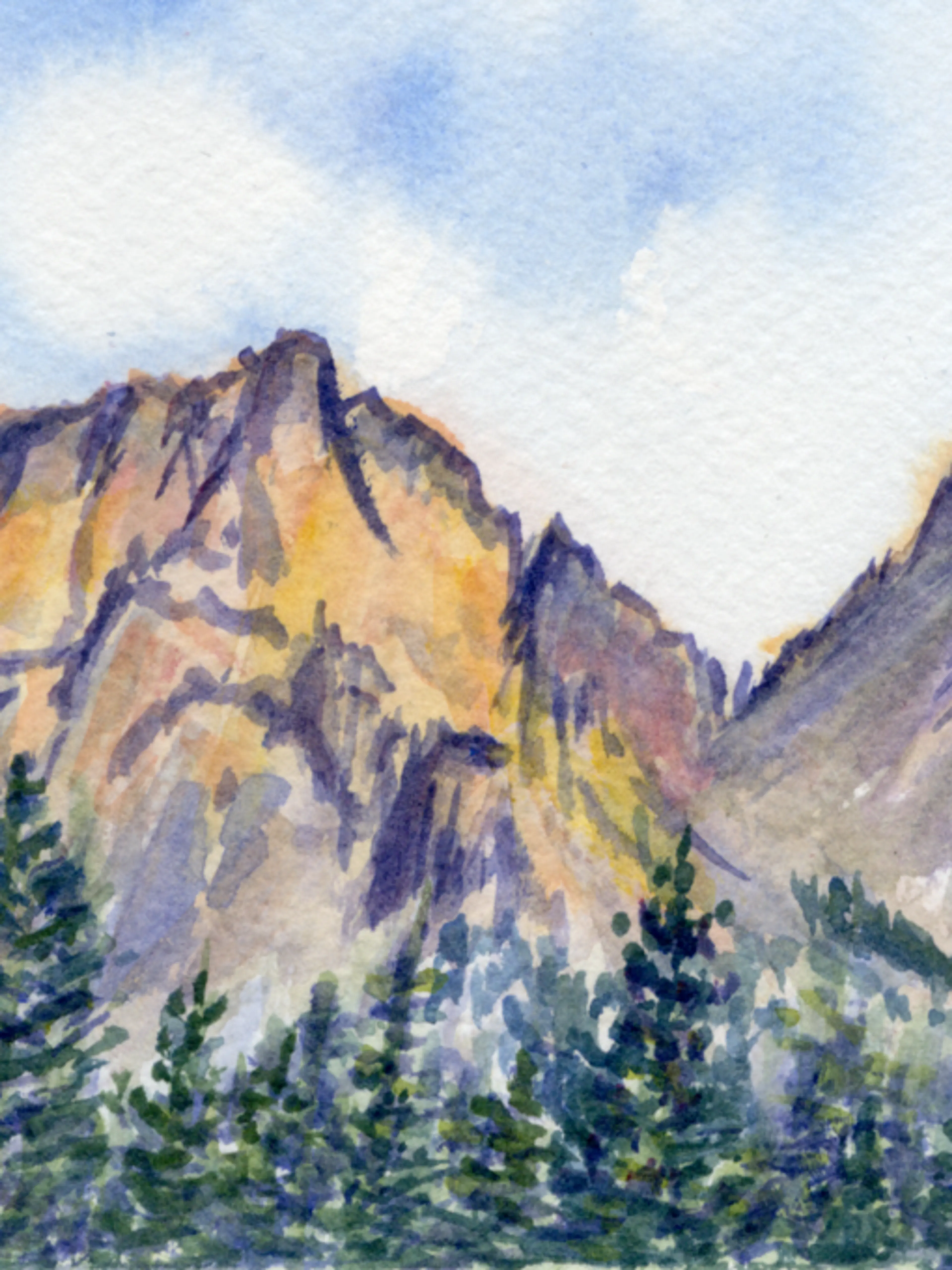 Transformez vos inspirations en œuvres magistrales : Cours d'aquarelle personnalisé avec accompagnement à chaque étape! 🎨✨