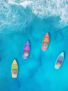 LOU vous présente ses services sur la plateforme Wooskill.