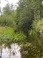 Shadow in the light vous présente ses services sur la plateforme Wooskill.