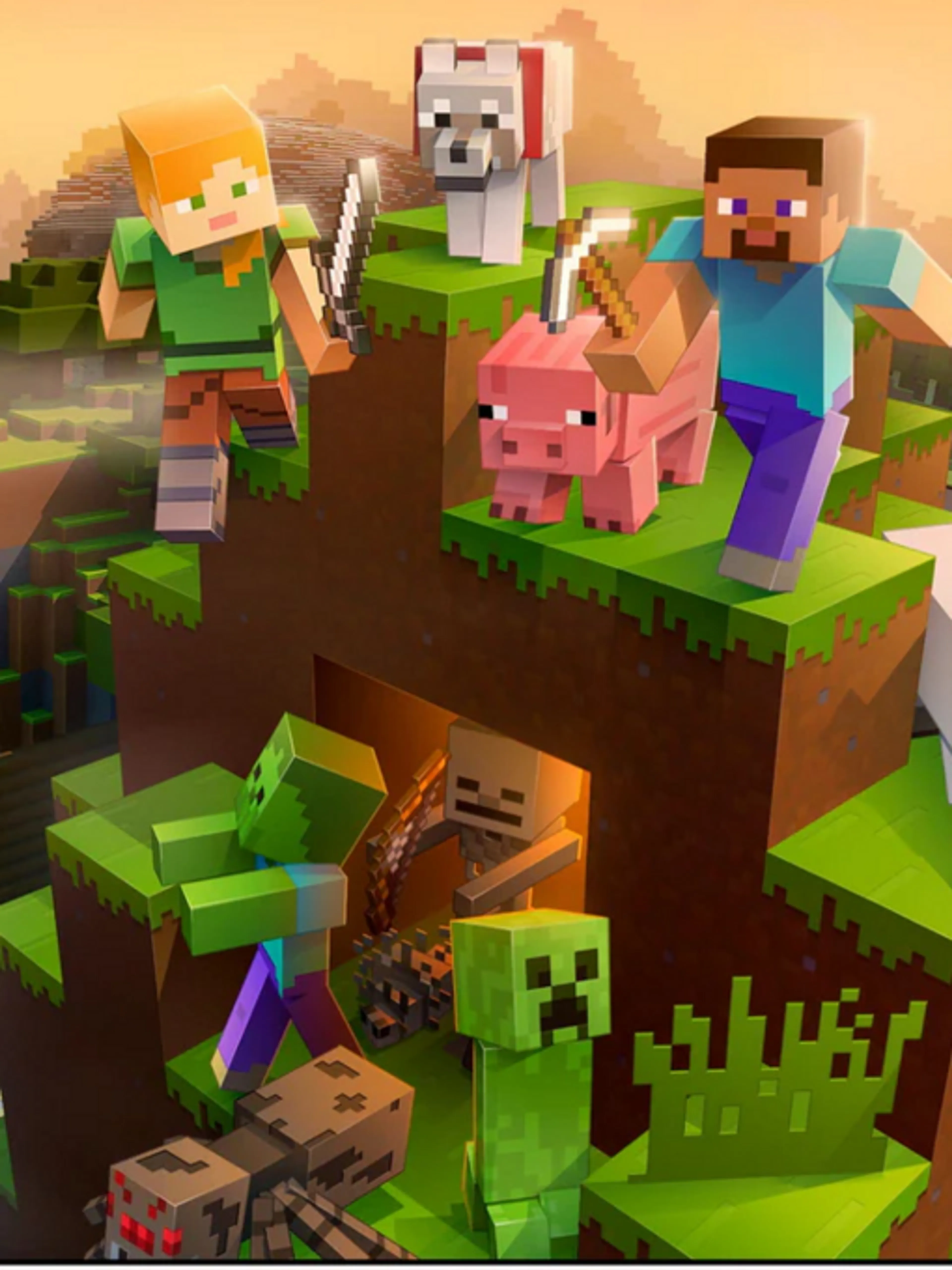 Menez votre projet Minecraft vers le sommet avec mon expertise et votre passion !