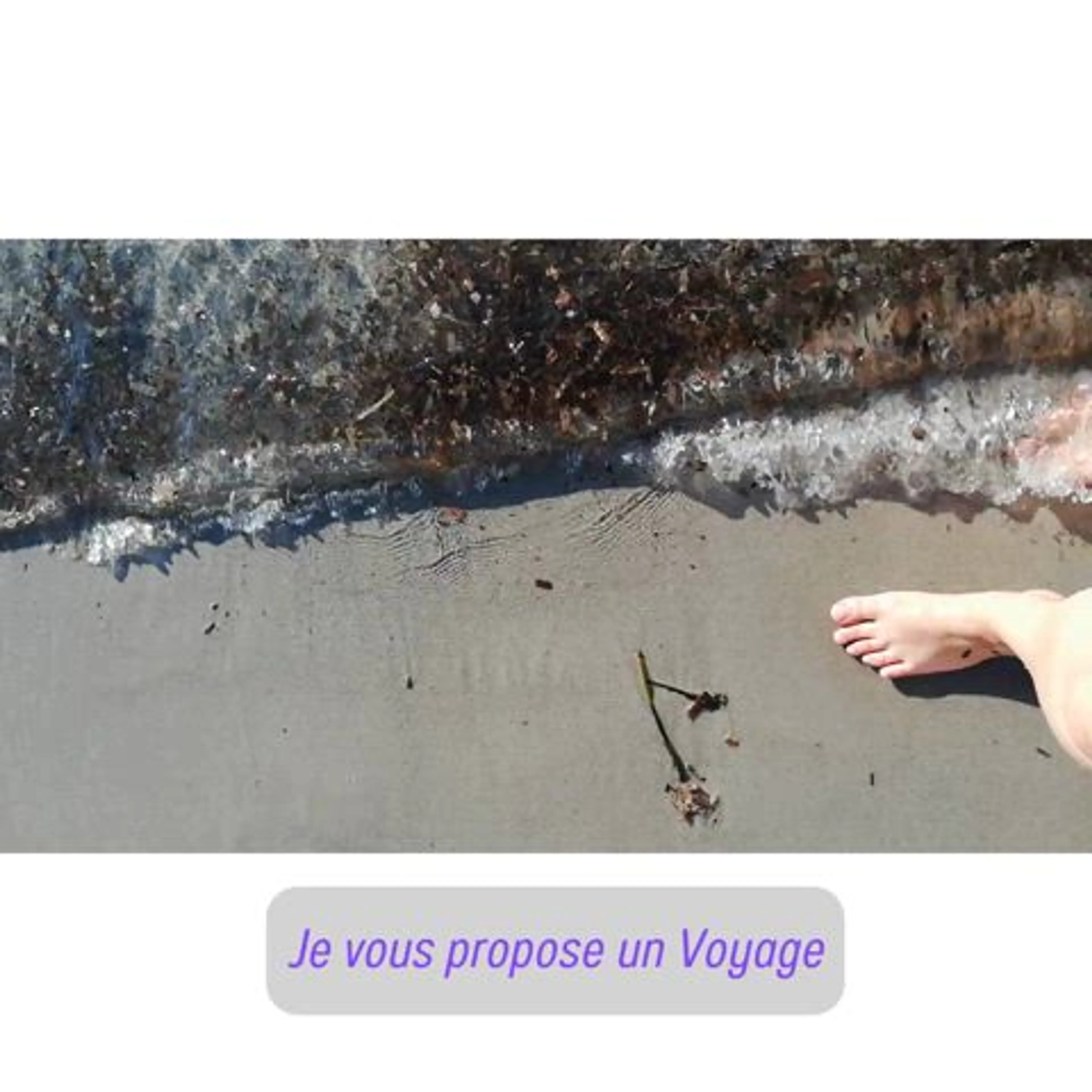Image de présentation pour l'offre Coaching Arbre De Vie - Séance complémentaire par Lisette