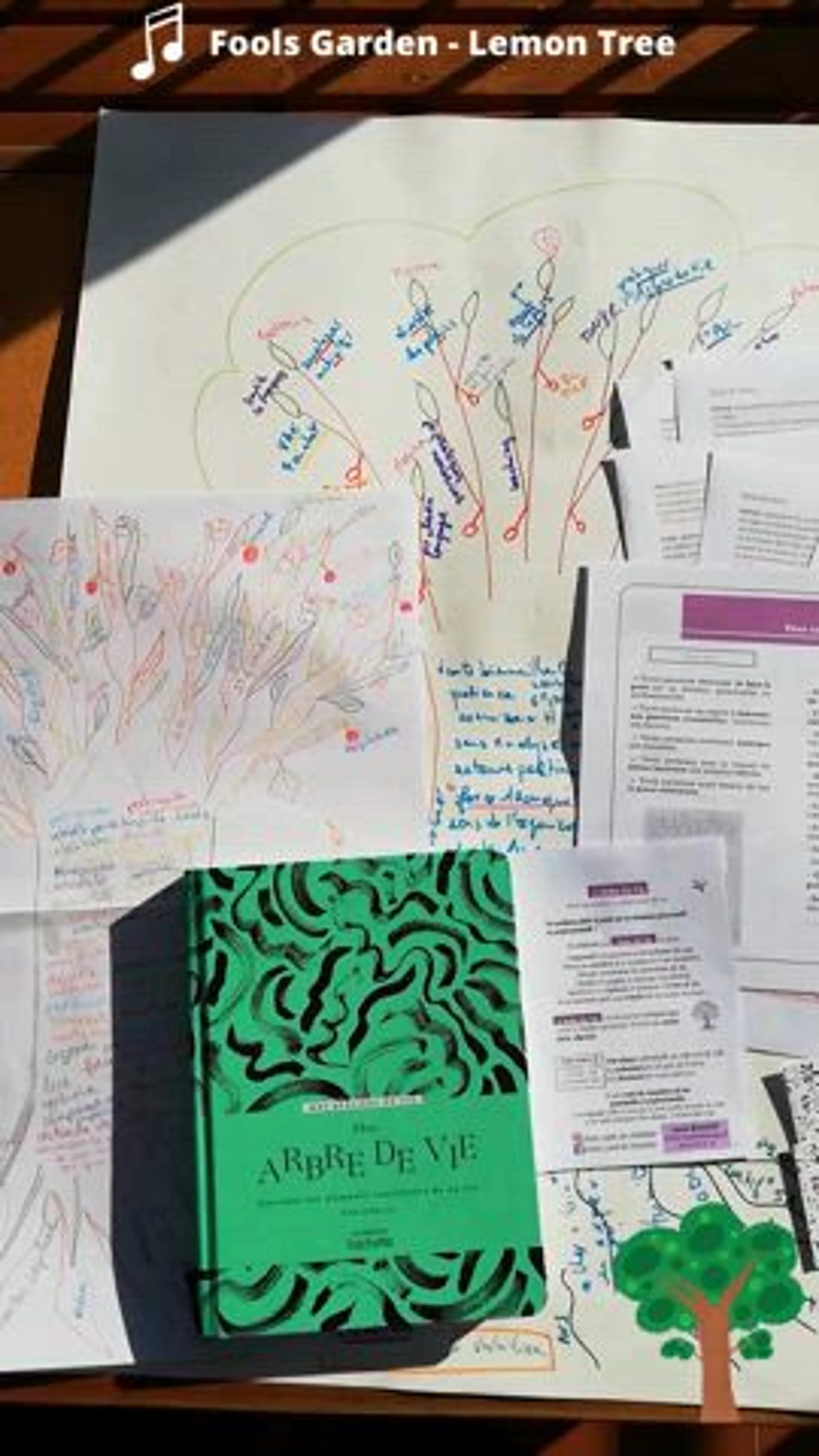 Image de présentation pour l'offre Coaching évolution personnelle avec l'Arbre De Vie, dessiner et écrire pour mieux se connaître et aller vers le bien être par Lisette