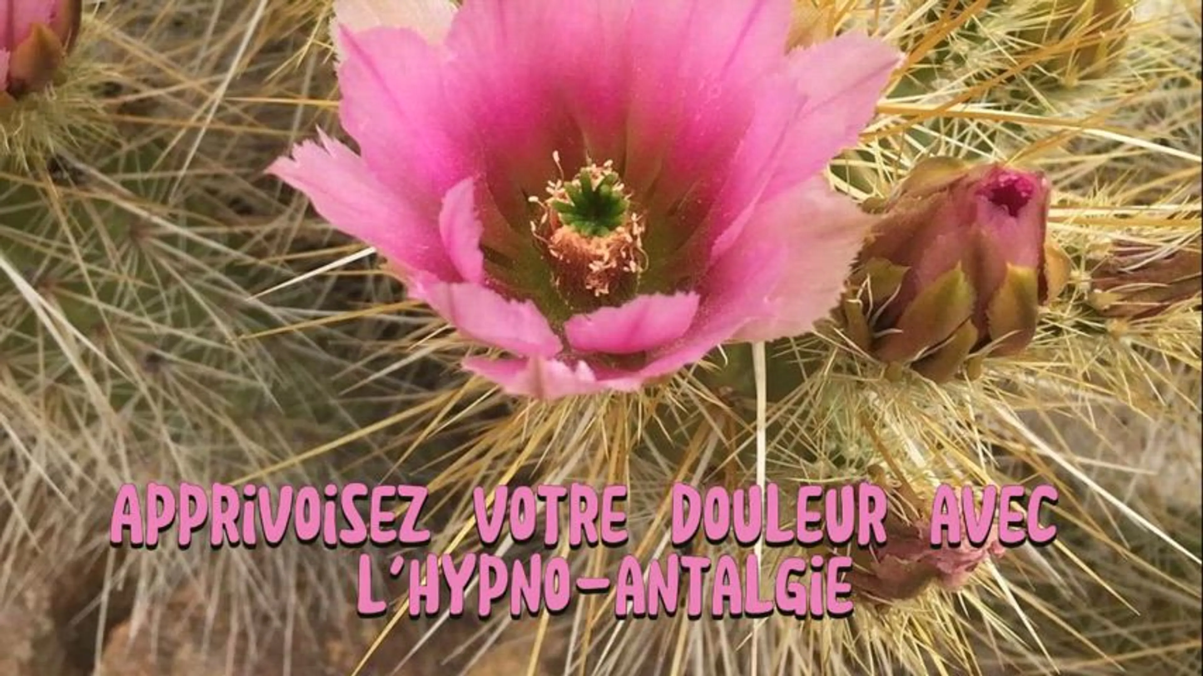 Image de prĂ©sentation pour l'offre đââïž Apprivoisez votre douleur avec lâHypno-Antalgie par vĂ©ronique