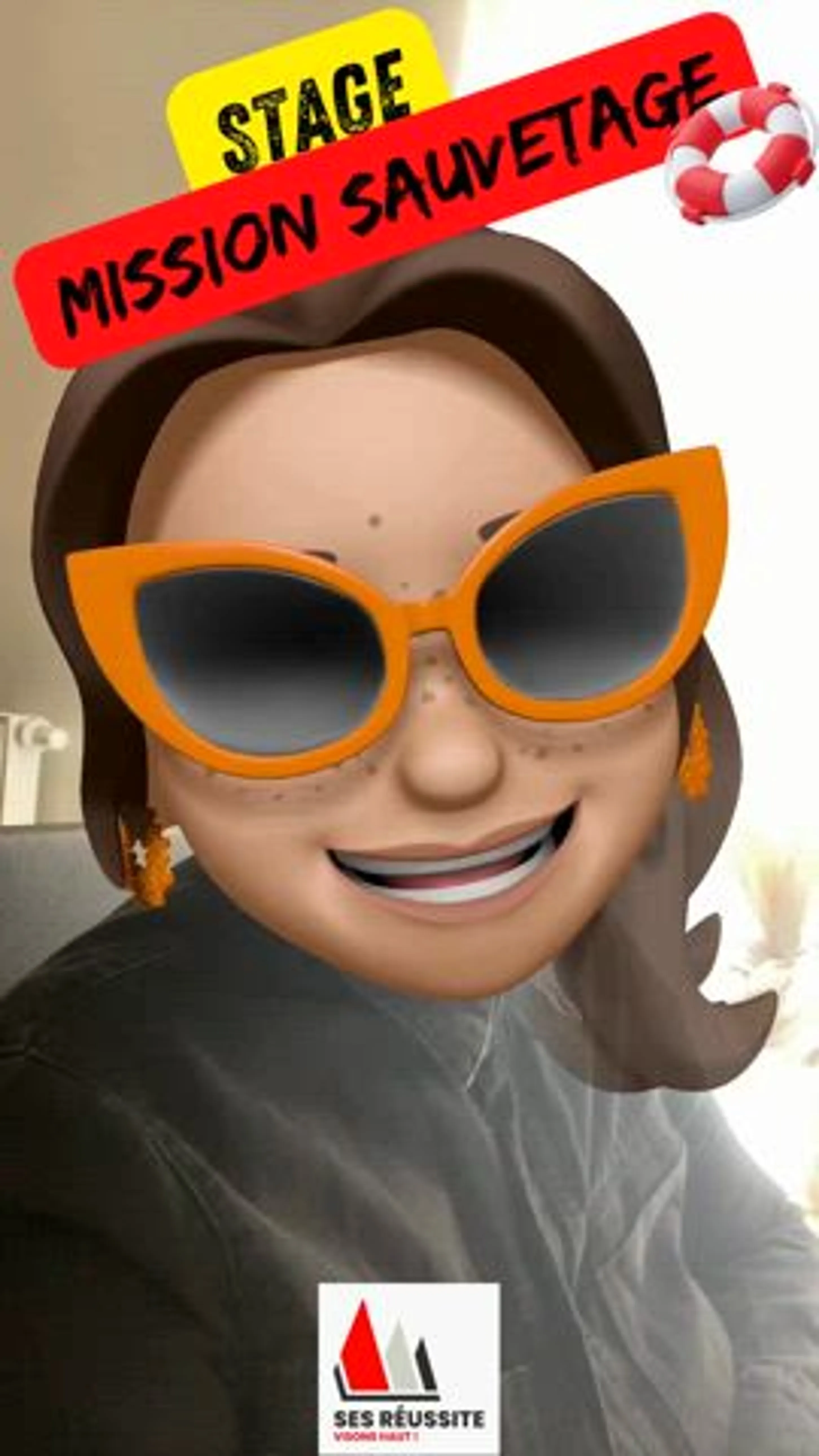 Image de présentation pour l'offre ⚠️Au total le stage dure 12h les dimanches 2 et 9 juin de 10h à 16h (Tarif 150€)
Stage de révisions intensif pour les élèves en difficulté en SES par Aurélie SES réussite