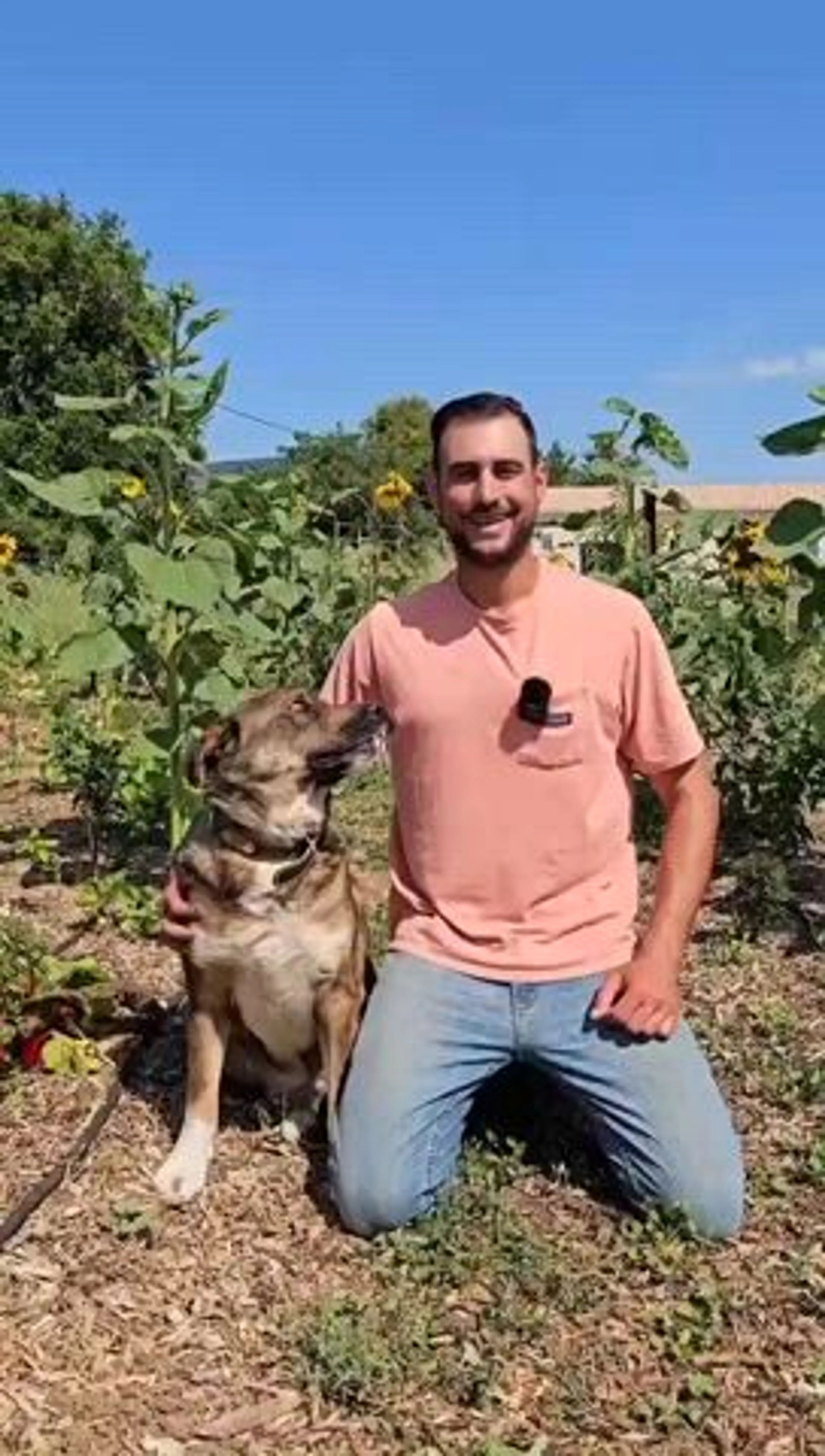 Image de présentation pour l'offre Abondance du potager d'été par Permacultureaujardin