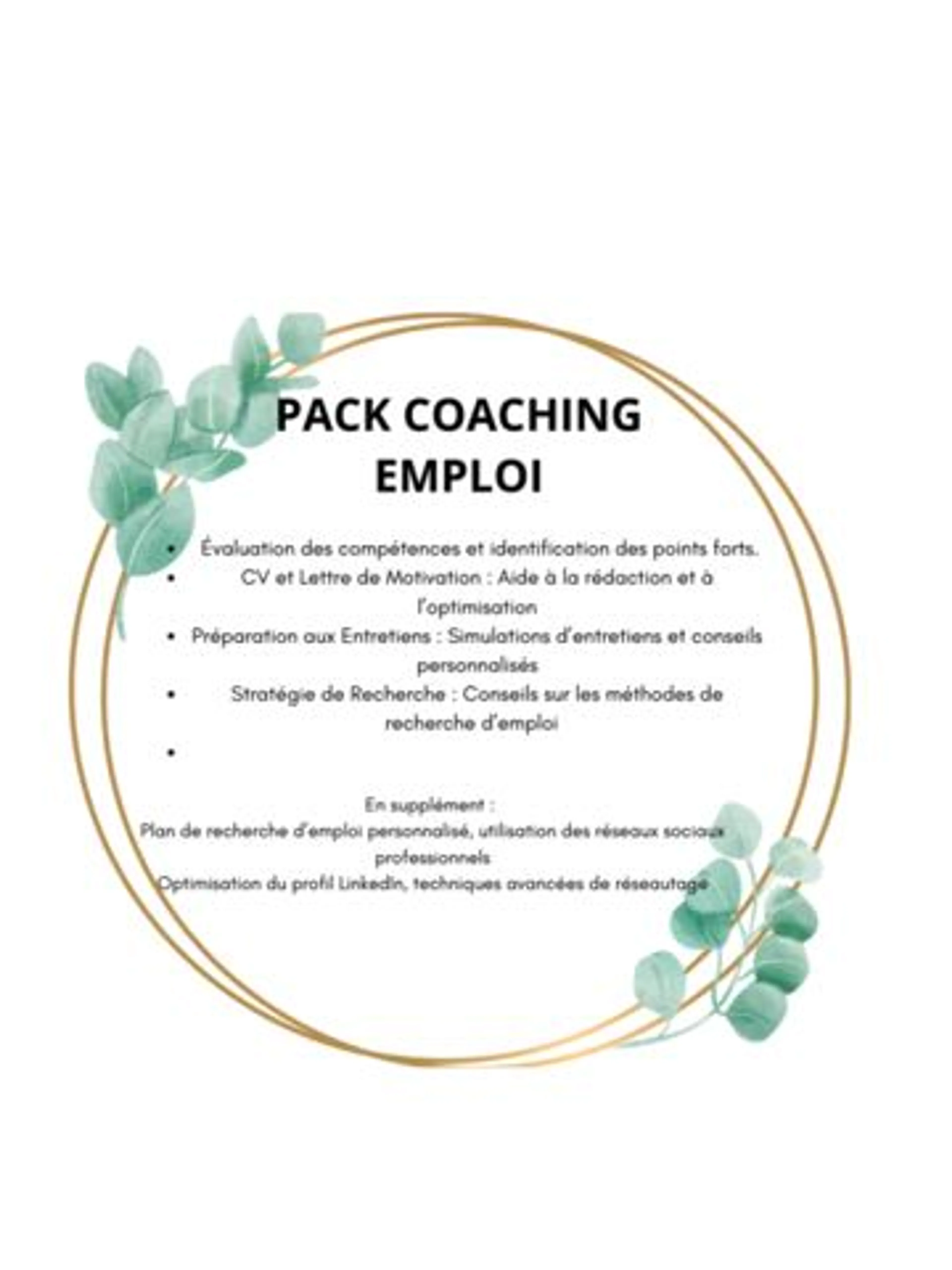 Image de présentation pour l'offre Coaching emploi pour jeune diplômé / jeune actif / personne en reconversion professionnelle / après un licenciement ou pour autres raisons. par Vololona