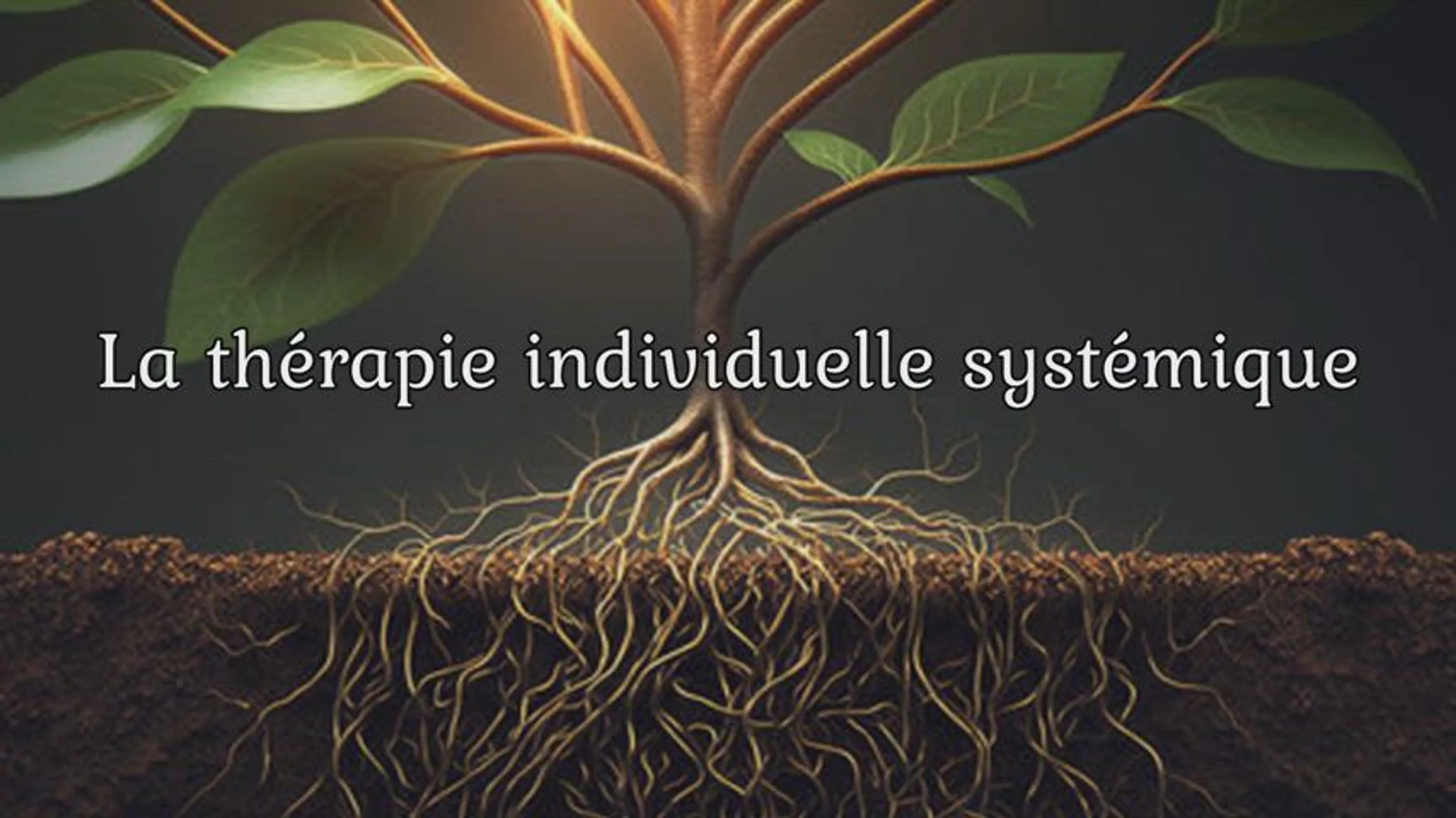 Image de présentation pour l'offre Thérapie individuelle systémique : il était une fois votre histoire de vie ! par Louise BRICKERT