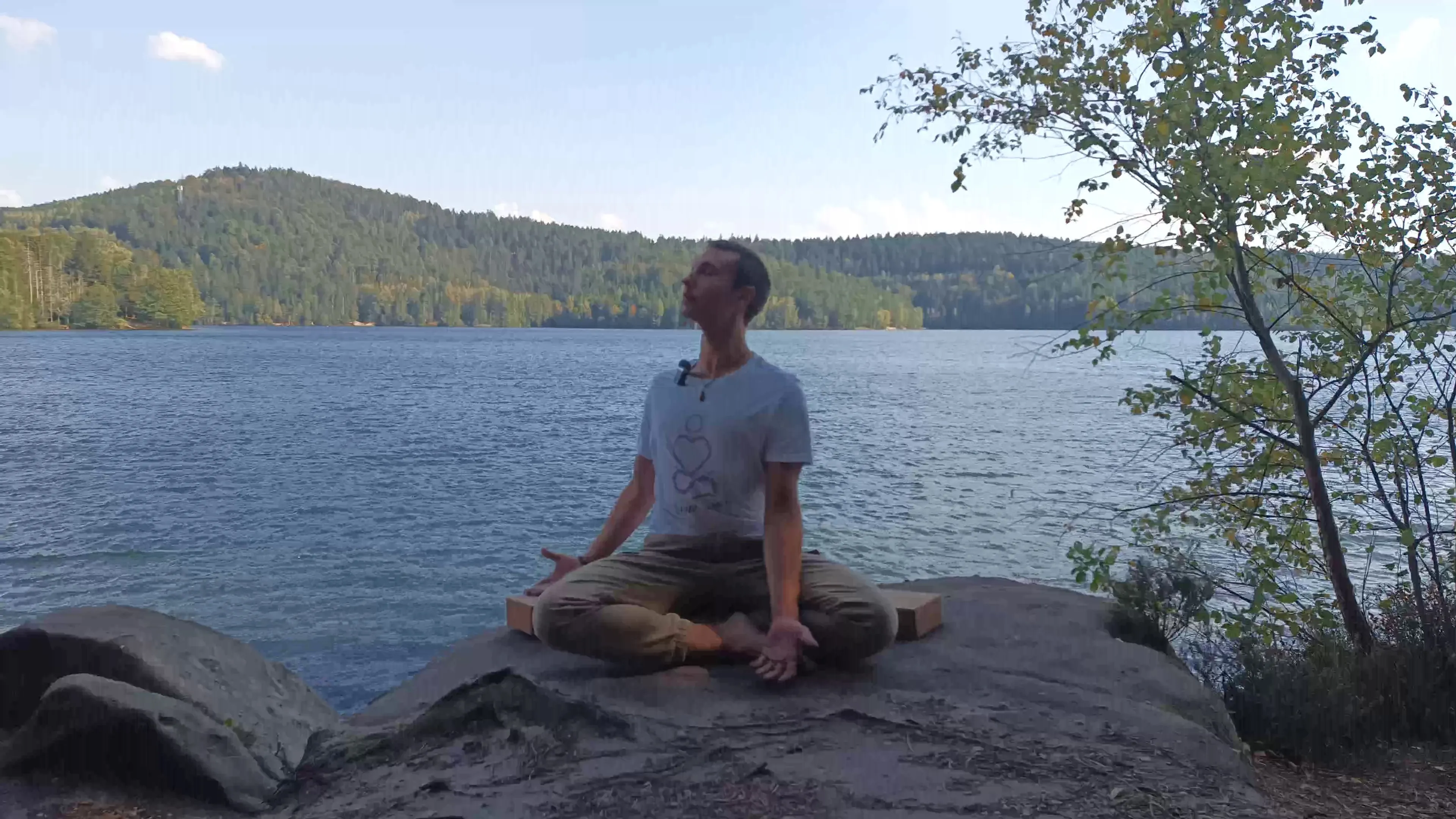 Séance Bien Être (méditation, respiration, yin yoga et qigong du thorax) (version longue)