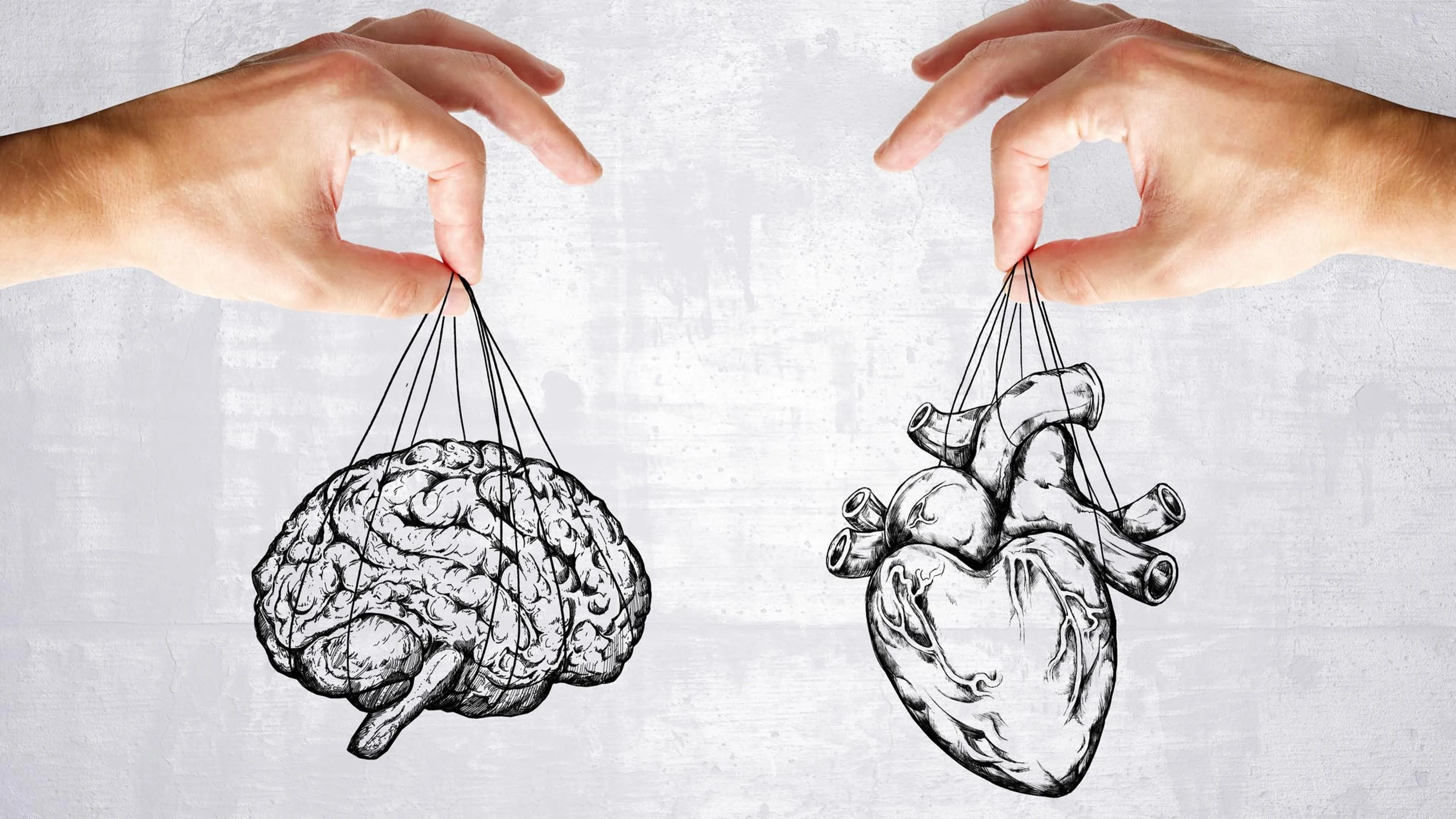 Développez votre intelligence émotionnelle