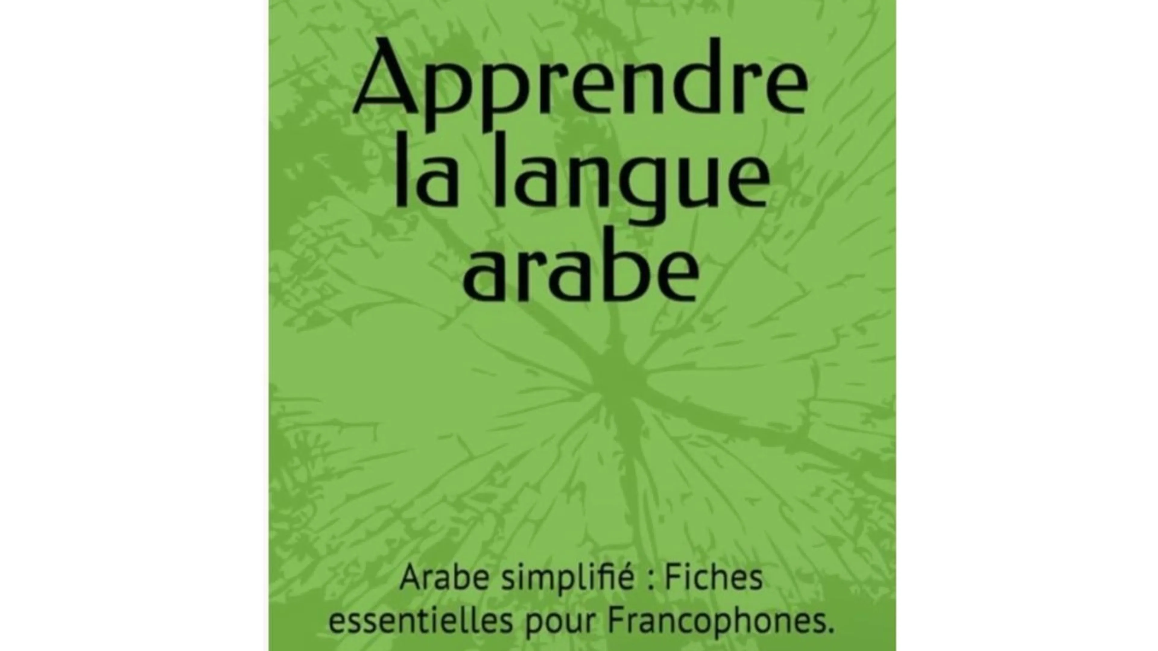 Arabe simplifié : Fiches essentielles pour Francophones.
