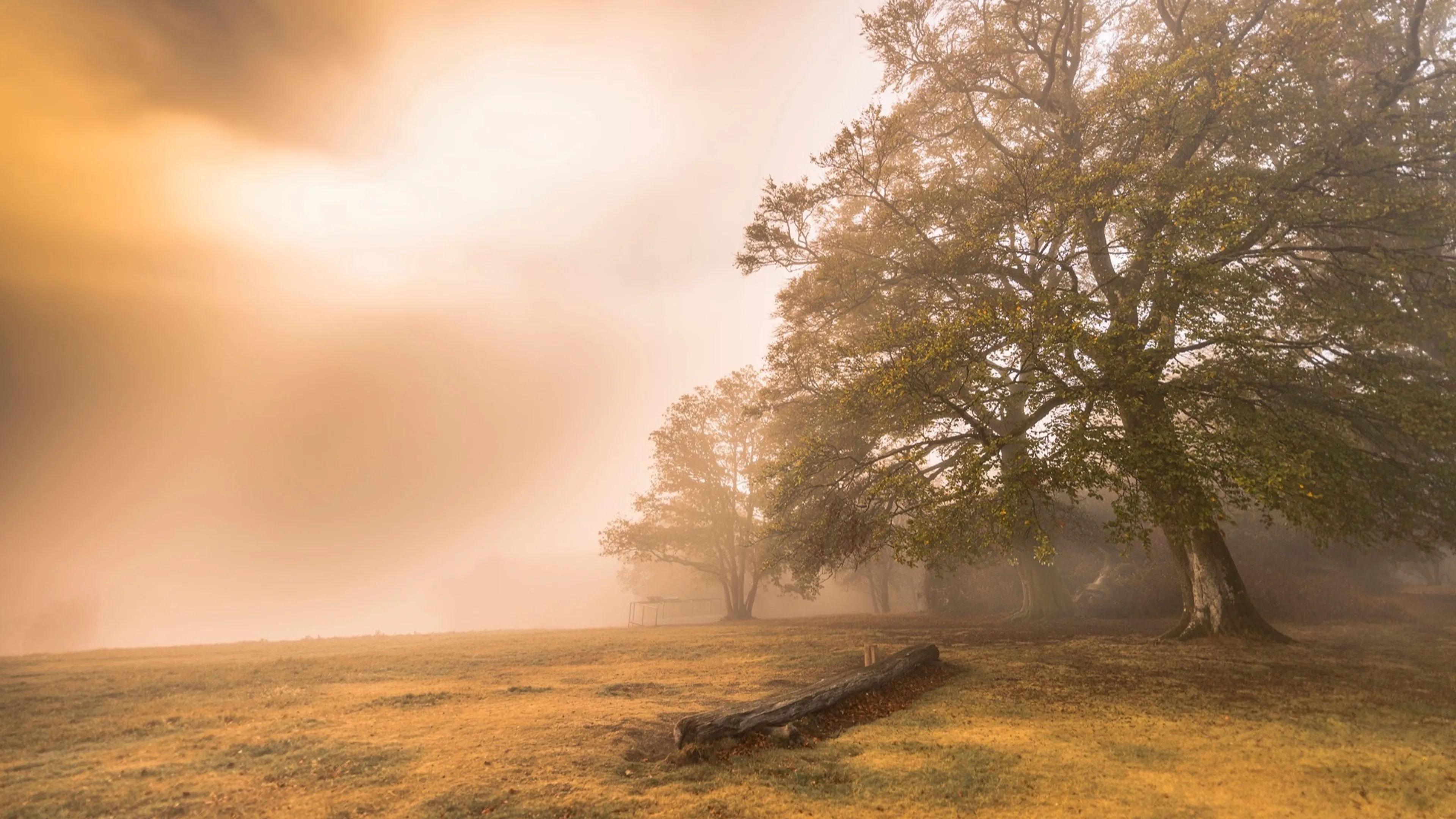 Photographier la Lumière  : Niveau débutant