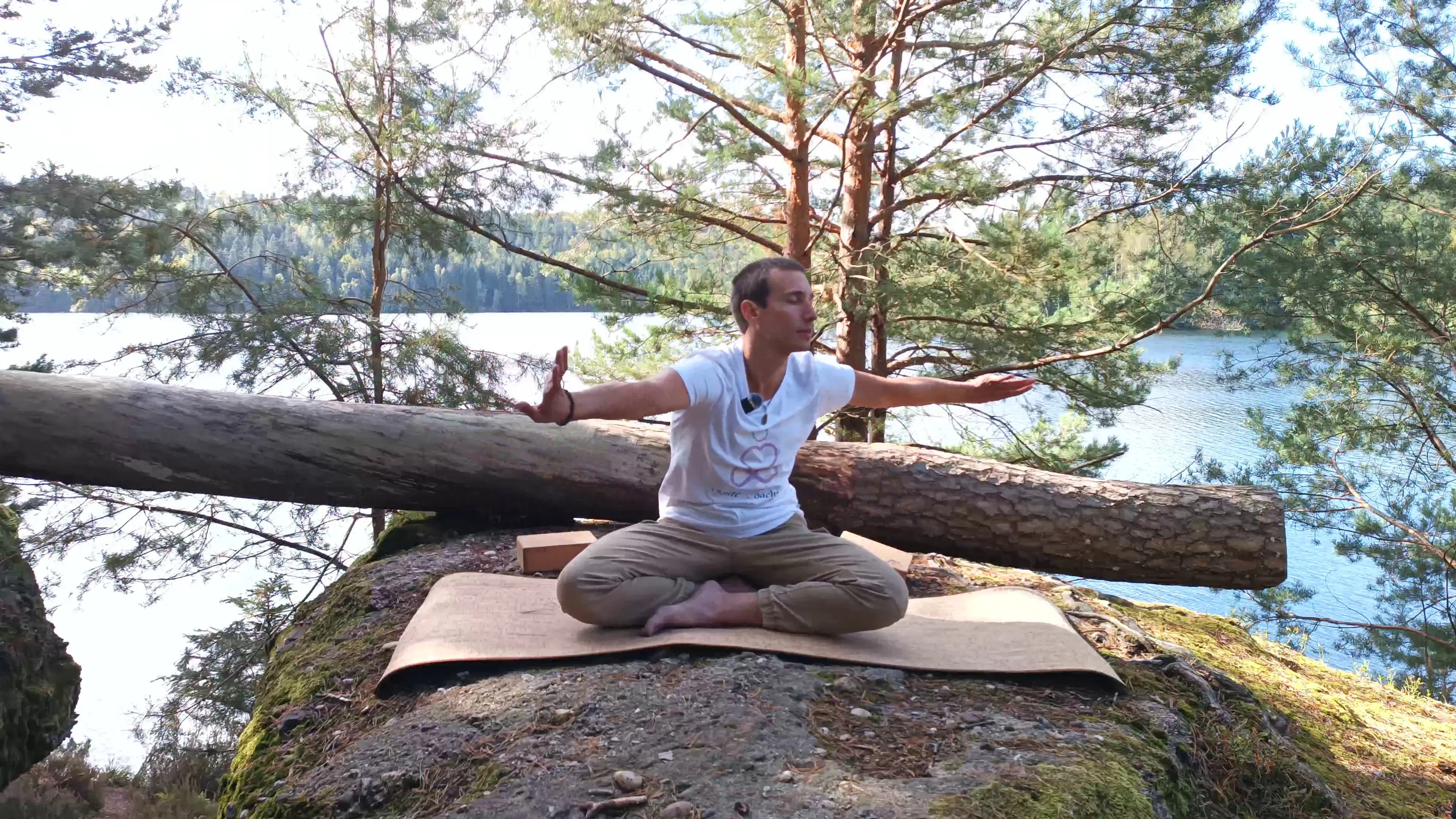 Séance Bien Être (méditation, respiration, yin yoga et qigong du thorax) (version courte)