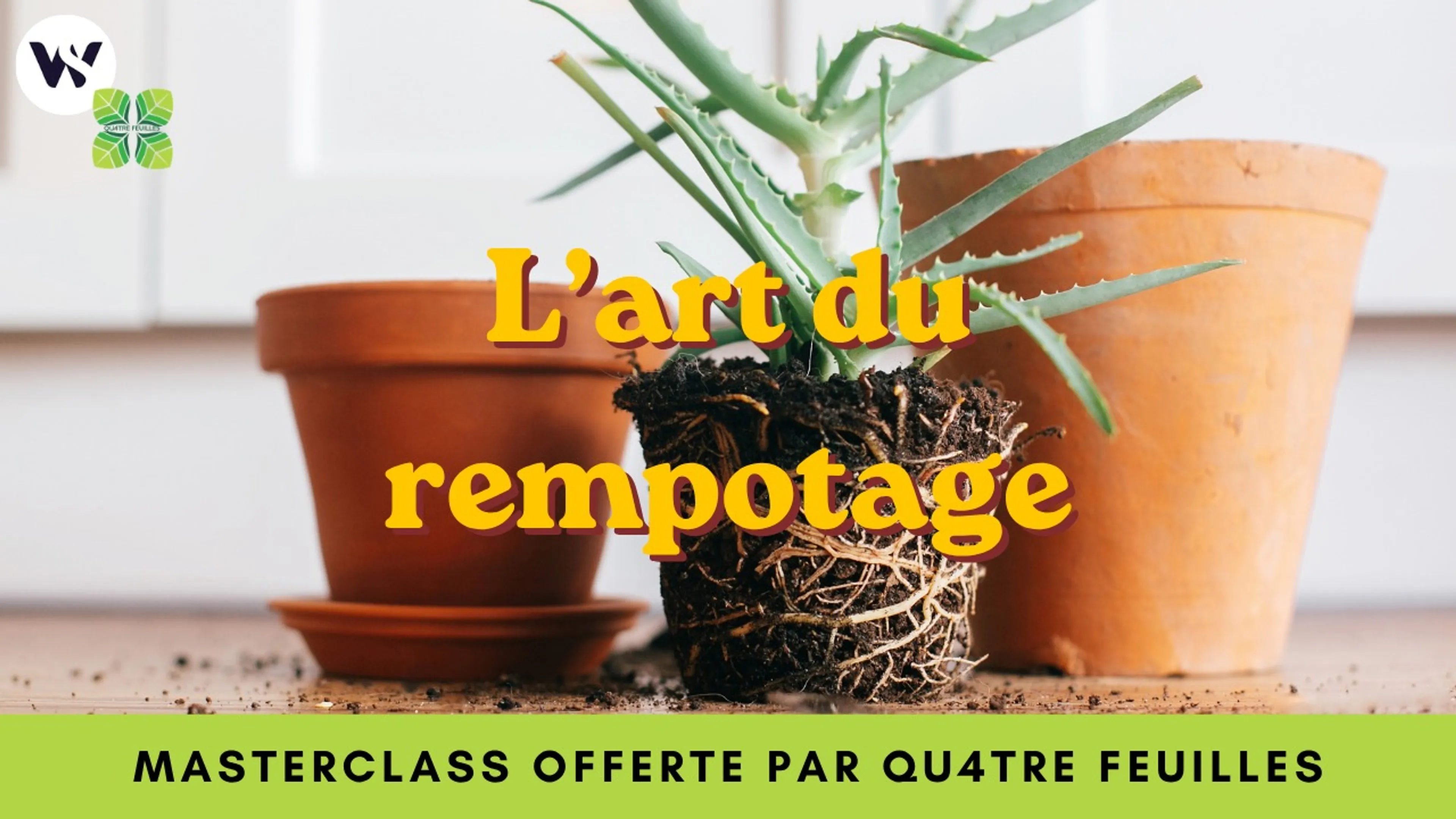 Ma méthode pour un rempotage 100% réussi